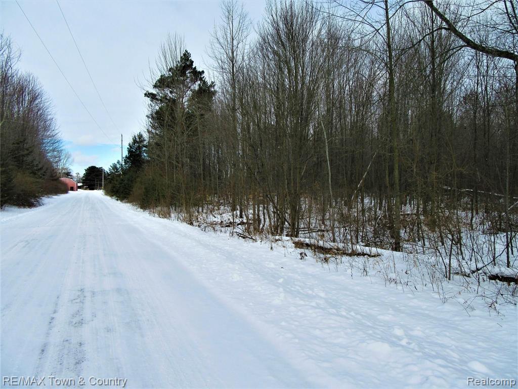 Vl West Stanley Road Flushing, MI 48433 - Photo 3 of 4