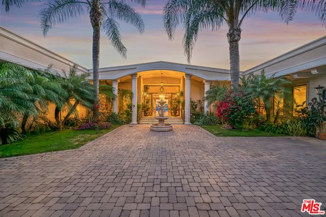 a view of a garden with a potted plant