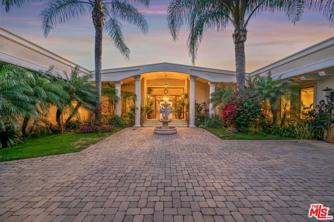 a view of a garden with a potted plant