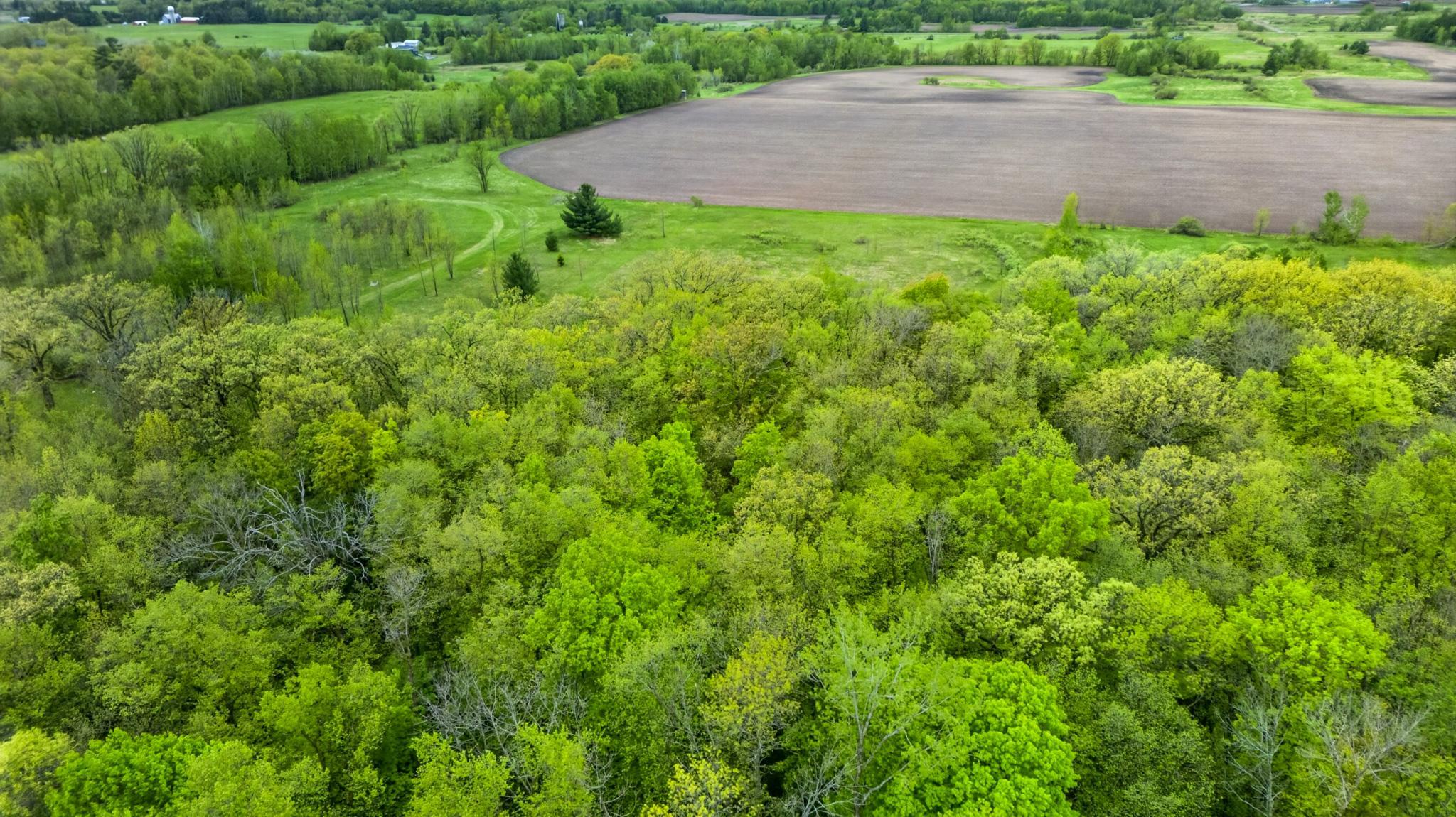 Xx Linden Tree Road Grasston, MN 55030 - Photo 3 of 3