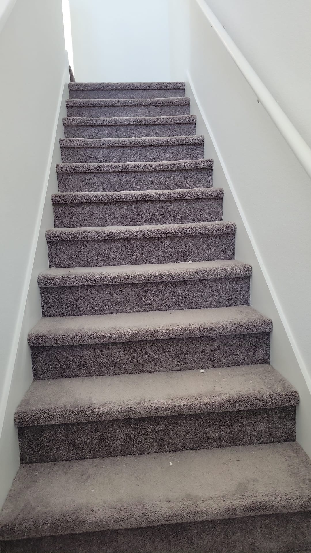 541 Pickrell Loop Georgetown, TX 78628 - Photo 11 of 32 Staircase featuring grey carpeted treads and risers, white painted walls, and a white handrail