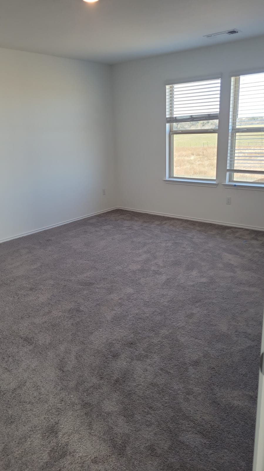 541 Pickrell Loop Georgetown, TX 78628 - Photo 22 of 32 This room features soft gray carpeting, white walls, and two windows providing natural light