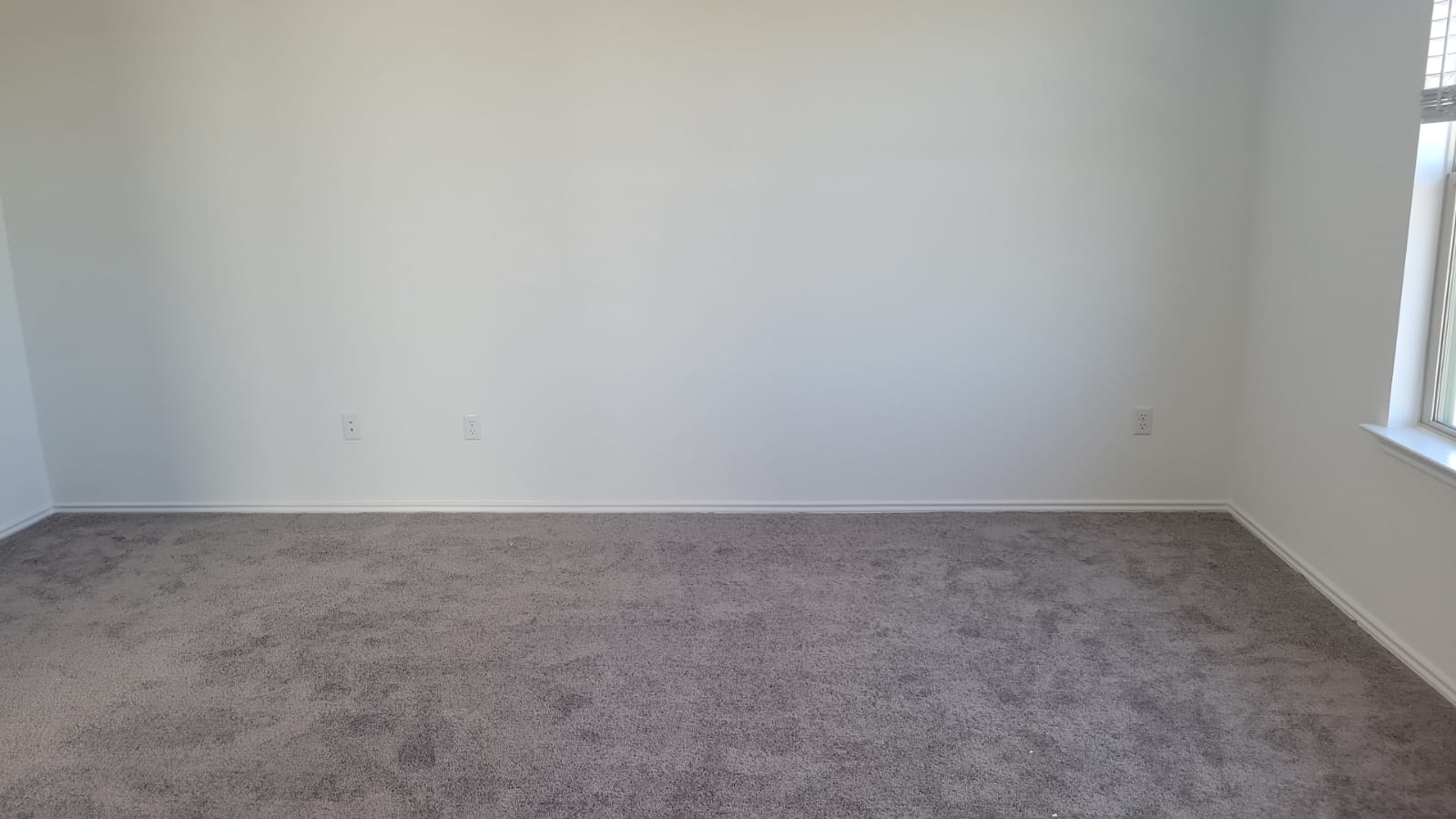 541 Pickrell Loop Georgetown, TX 78628 - Photo 23 of 32 The room features neutral-toned carpet, light-colored walls, and a window providing natural light