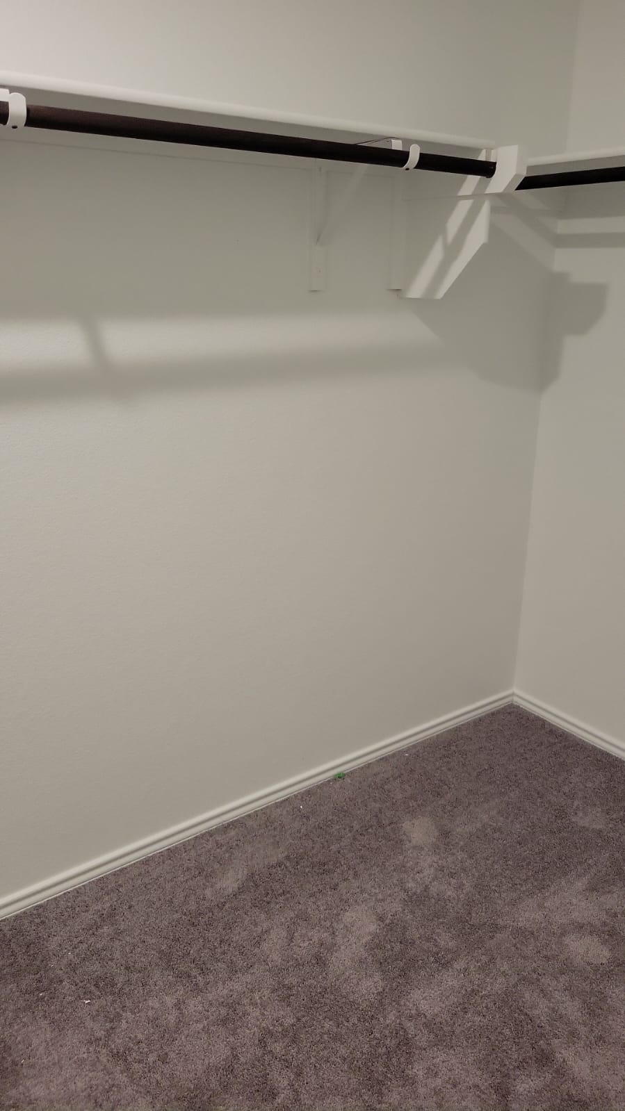541 Pickrell Loop Georgetown, TX 78628 - Photo 27 of 32 Closet space featuring a carpeted floor, white walls, and a clothes hanging rod with shelving