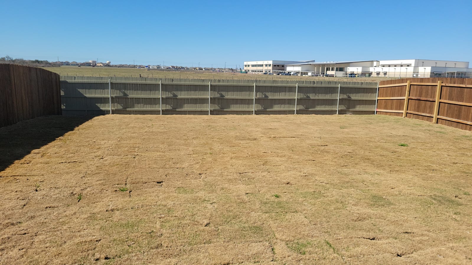 541 Pickrell Loop Georgetown, TX 78628 - Photo 30 of 32 The property features a spacious backyard with a lawn, enclosed by a wooden fence