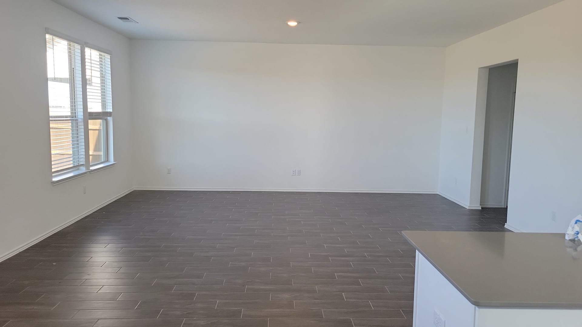 541 Pickrell Loop Georgetown, TX 78628 - Photo 7 of 32 Expansive interior space featuring dark wood-look tile flooring, white walls, and large windows with blinds