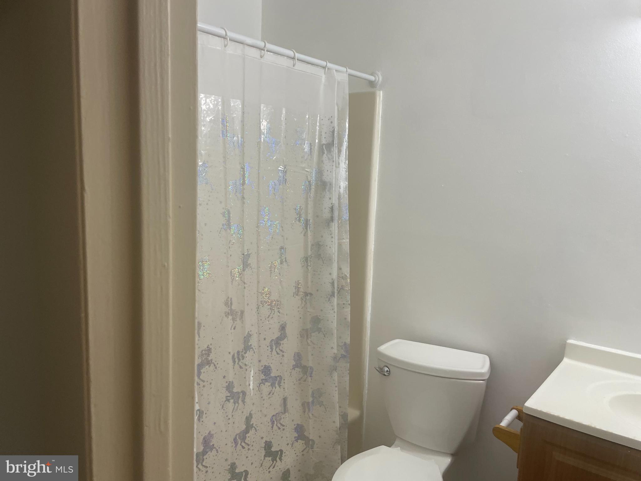 7107 Rutherford Green Circle Windsor Mill, MD 21244 - Photo 22 of 30 BATH ROOM