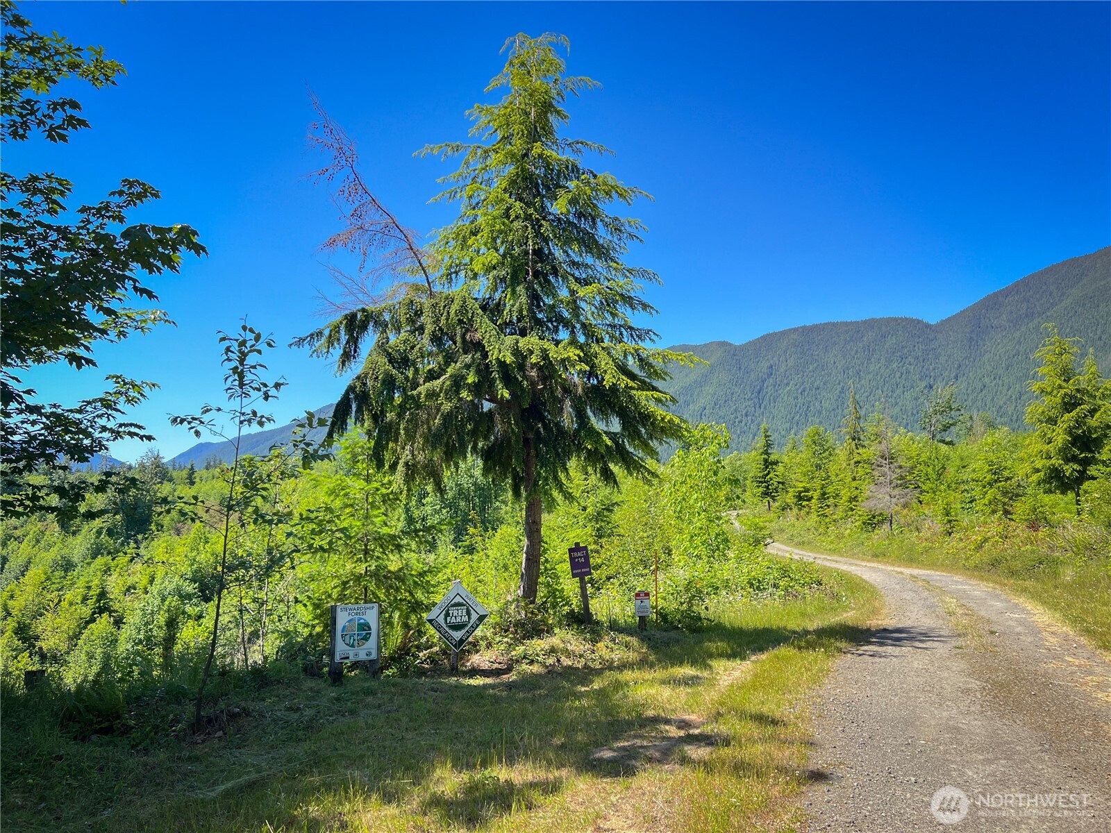 2904 Wildwood Road Quilcene, WA 98376 - Photo 15 of 39 a view of a garden