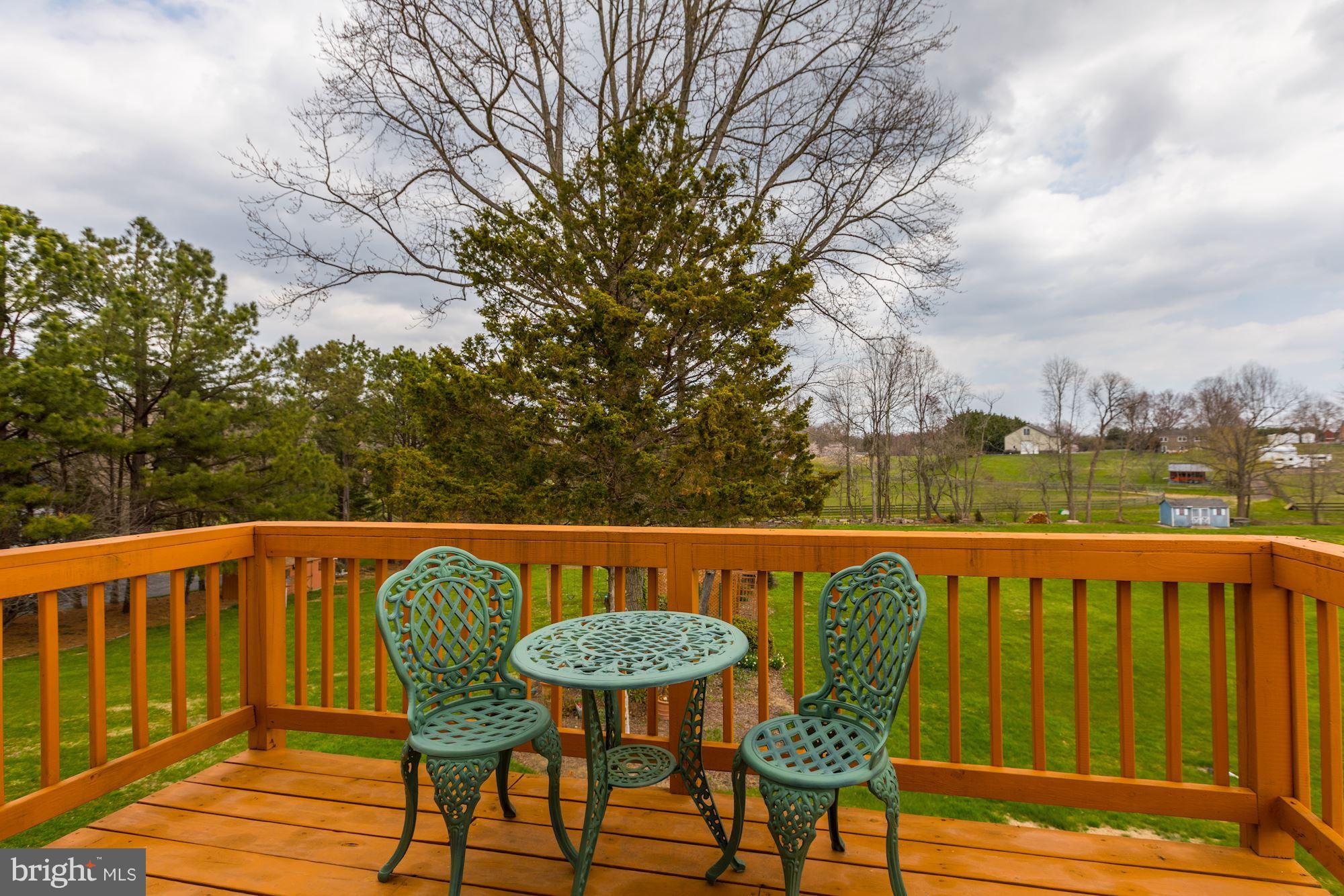 3504 Cedars Stable Road Davidsonville, MD 21035 - Photo 14 of 24 Private deck off Master BR
