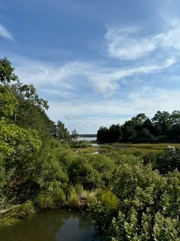 a view of a swimming pool and trees in the background