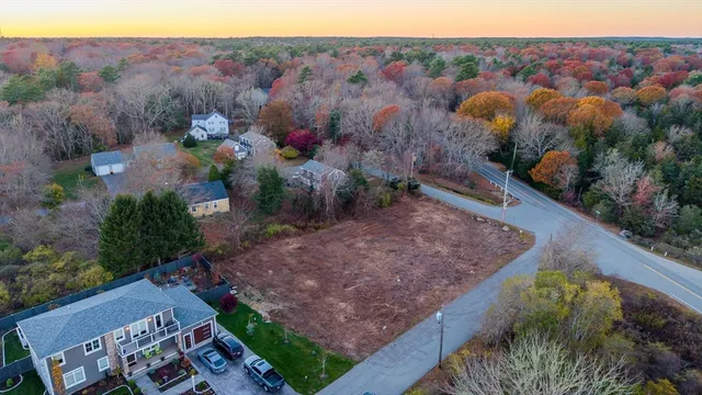 a view of a backyard with plants