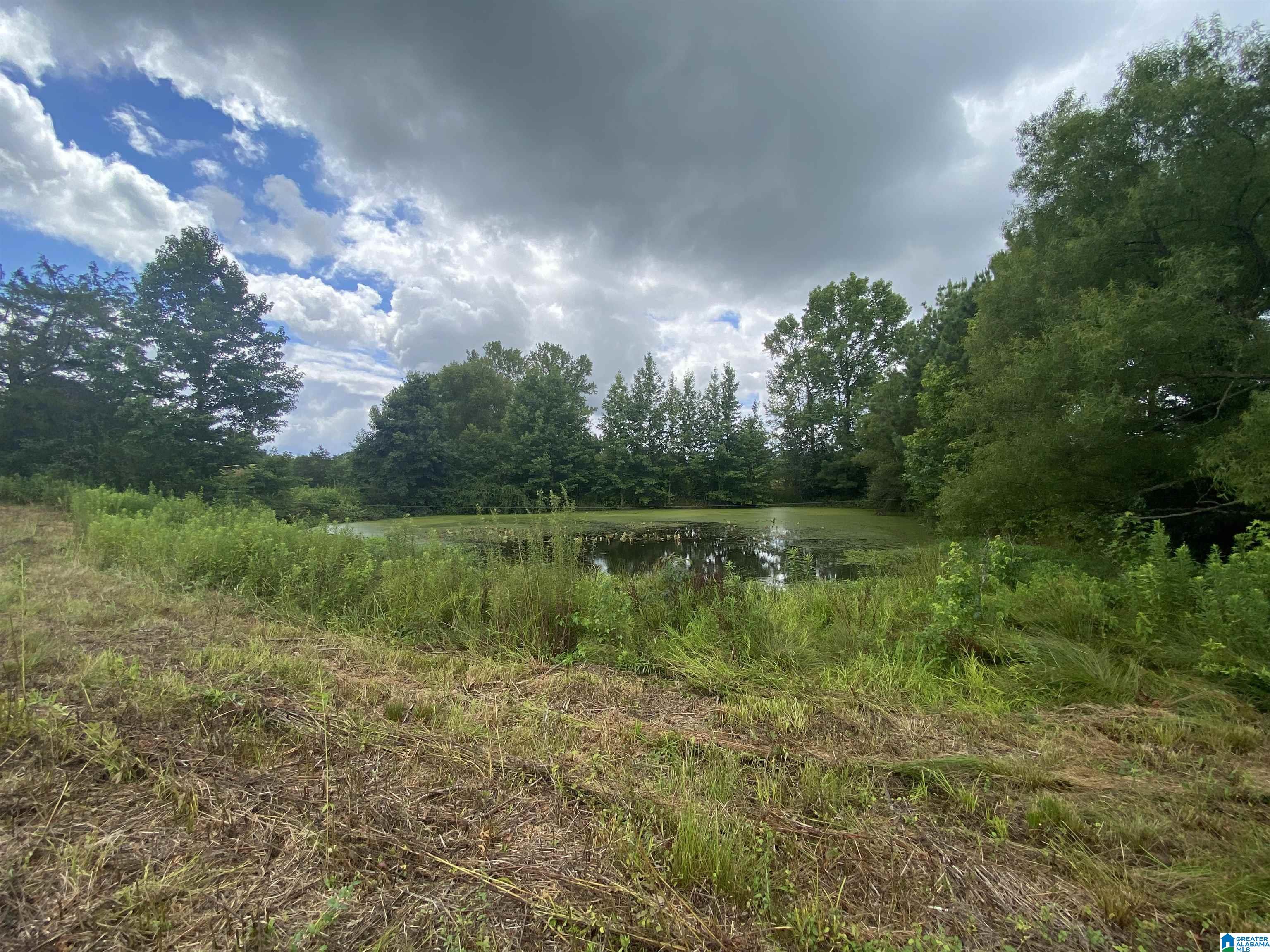 Buck Road, Unit 43 Cleveland, AL 35049 - Photo 1 of 17