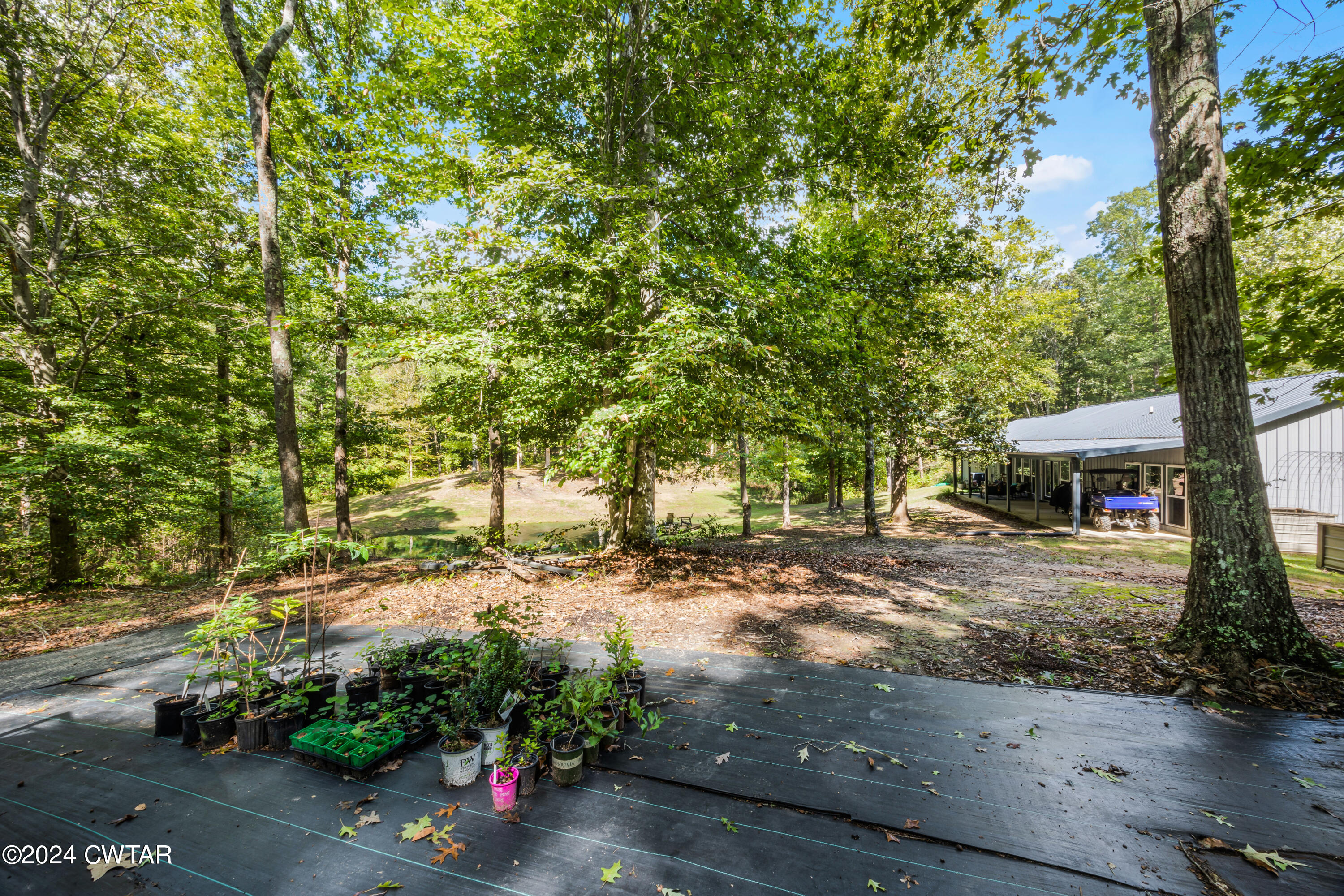 4020 Pine Top Road Toone, TN 38381 - Photo 3 of 41 DG2A9029