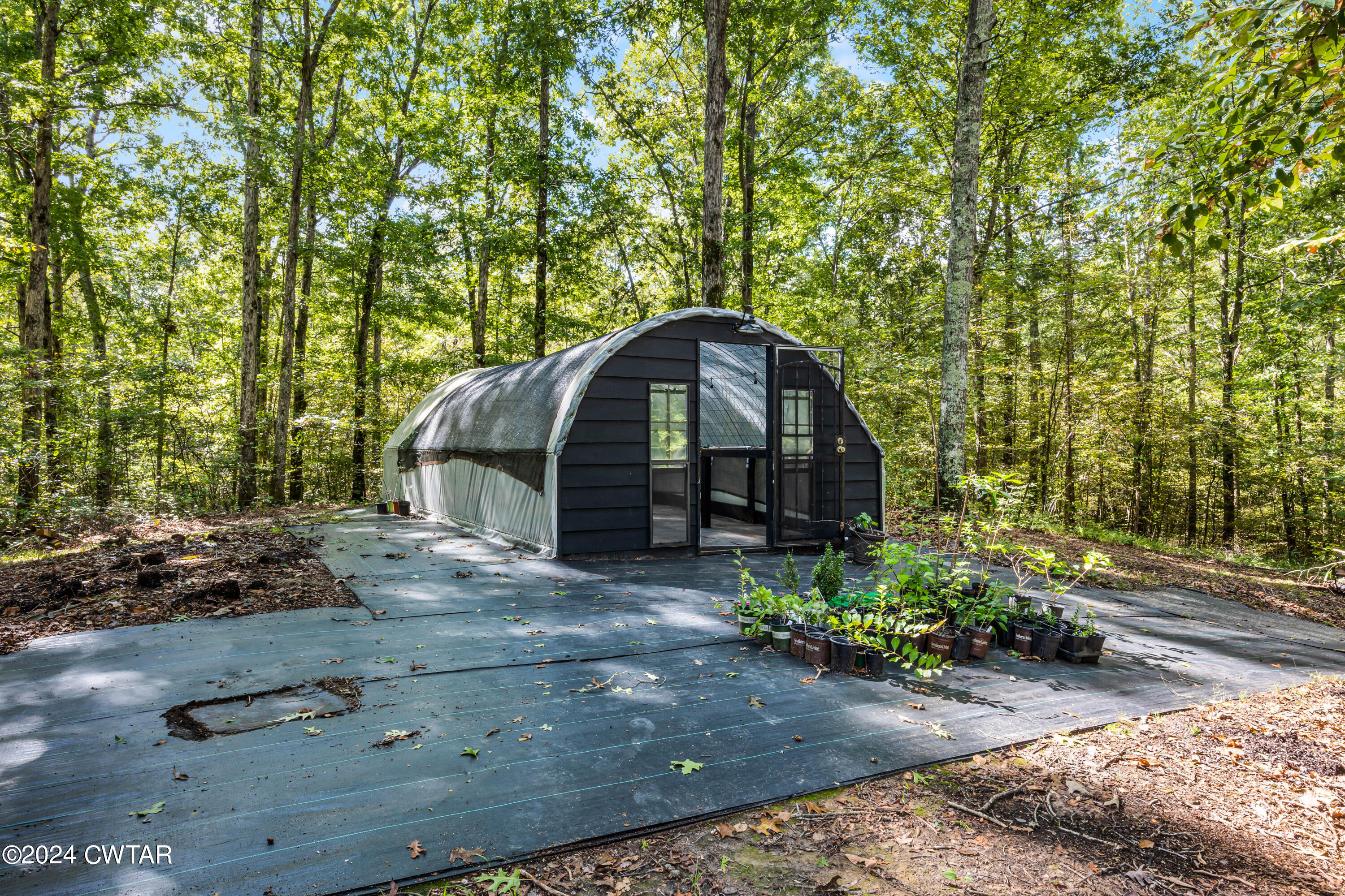 4020 Pine Top Road Toone, TN 38381 - Photo 6 of 41 DG2A9024