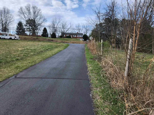 a view of a yard with plants and trees