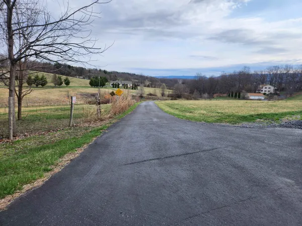 a view of a big yard with large trees