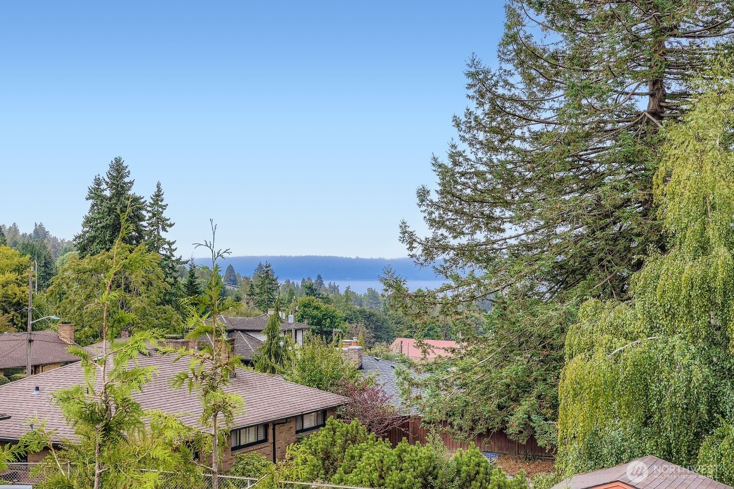 8814 41st Avenue Southwest Seattle, WA 98136 - Photo 3 of 38 a view of a city from a lake