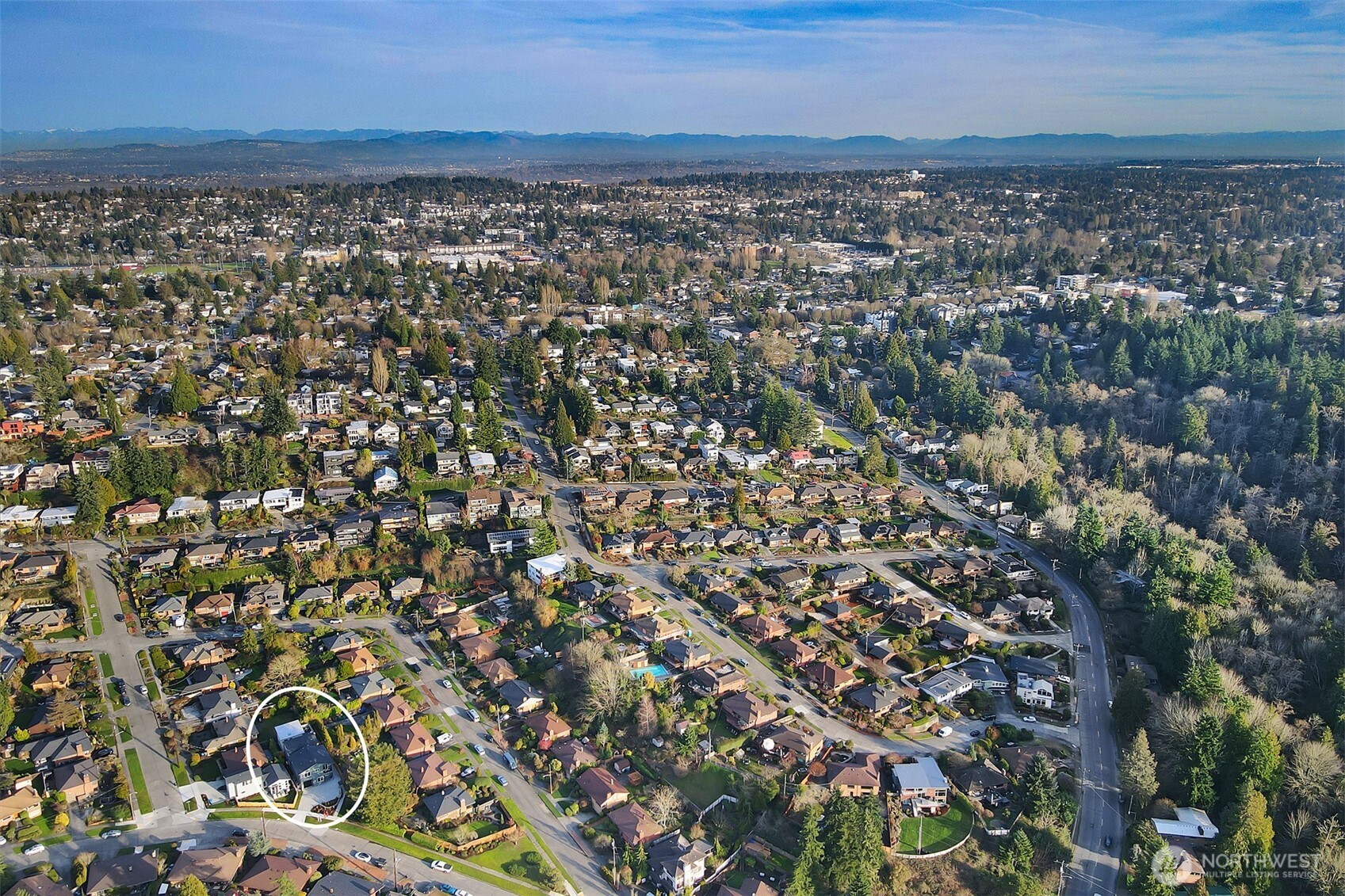 8814 41st Avenue Southwest Seattle, WA 98136 - Photo 33 of 38