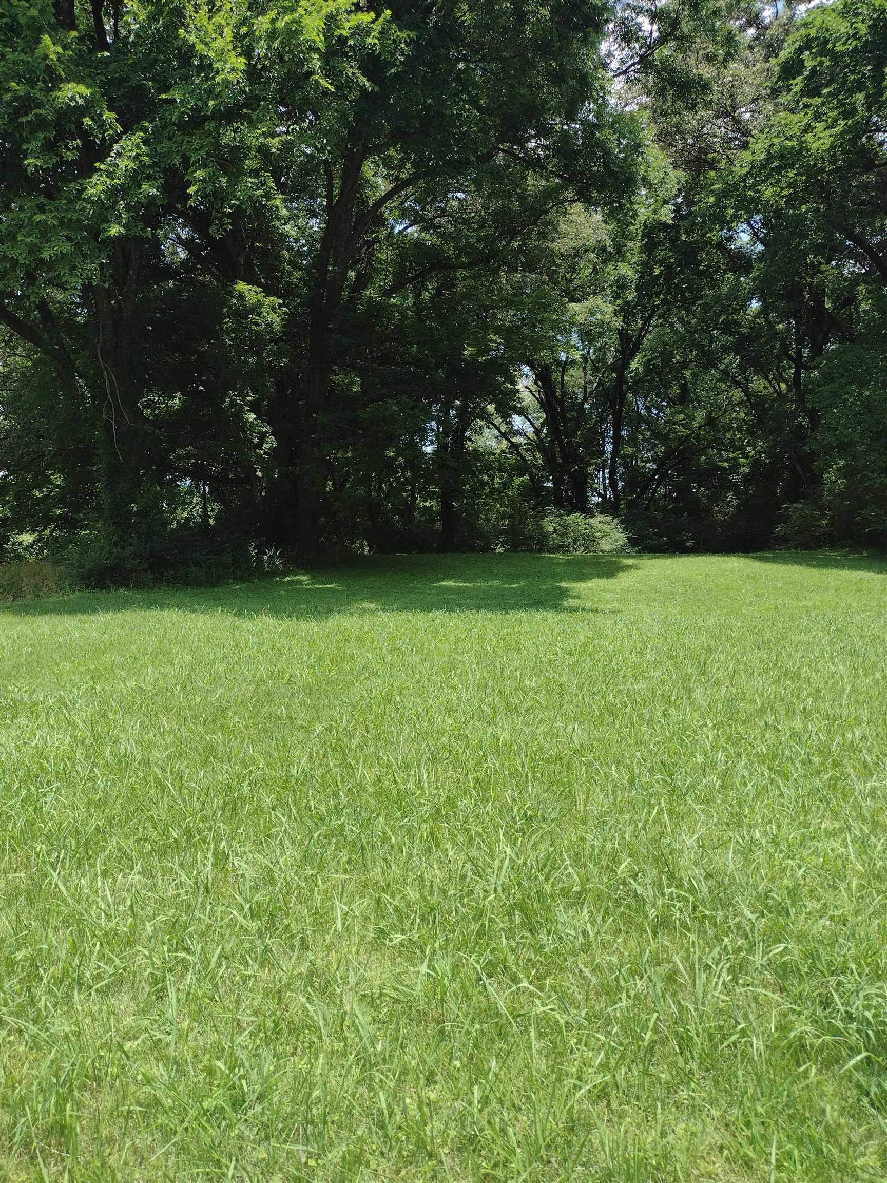 754 Flynn Road Memphis, TN 38109 - Photo 1 of 1 a view of a green yard