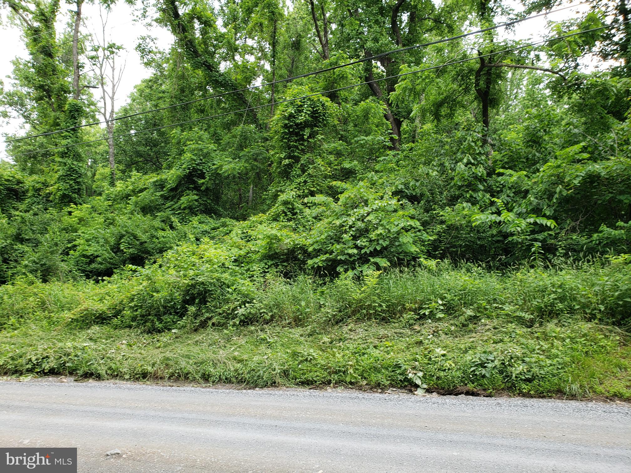 488 Reid Drive Front Royal, VA 22630 - Photo 2 of 5