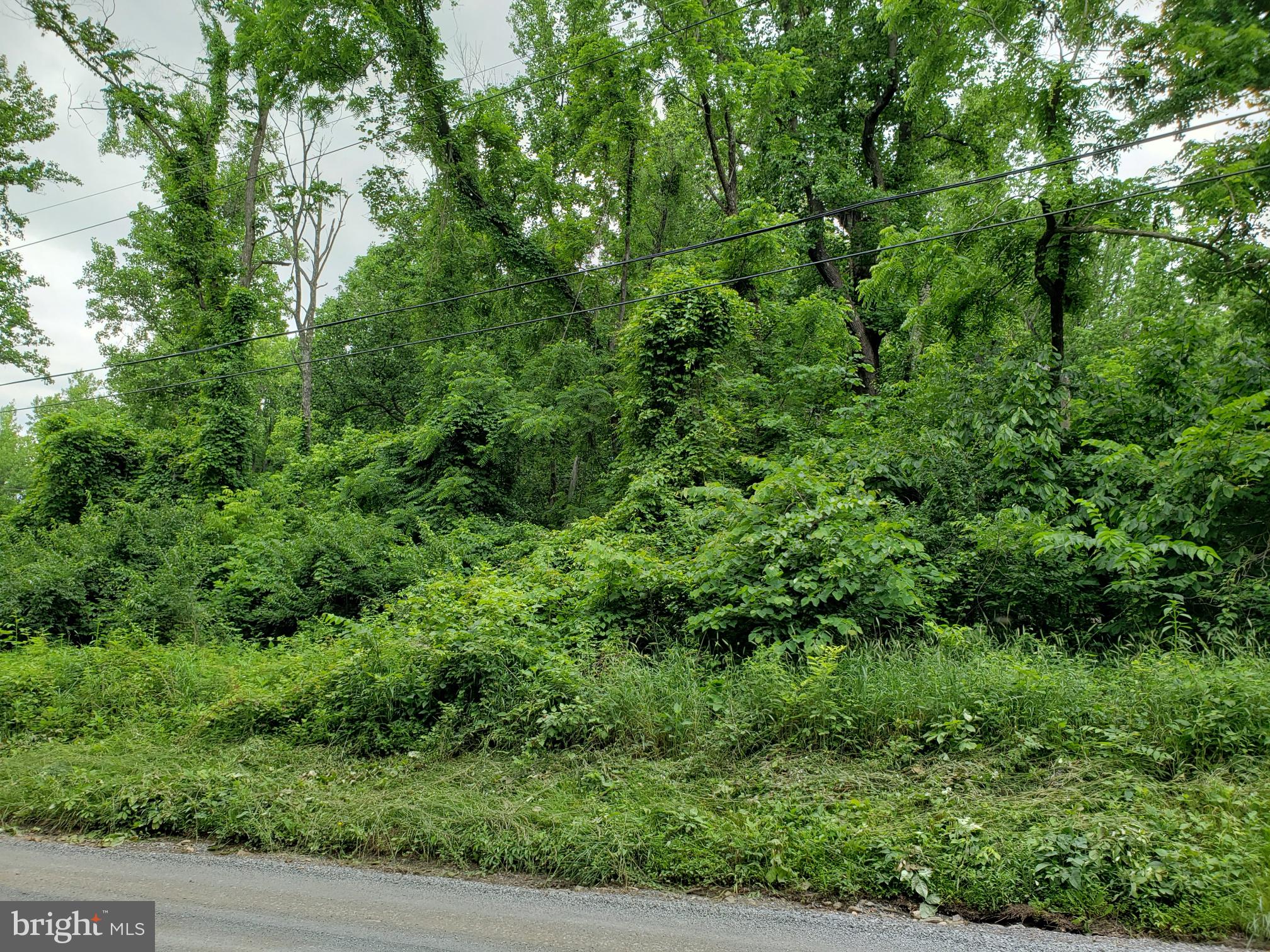 488 Reid Drive Front Royal, VA 22630 - Photo 3 of 5