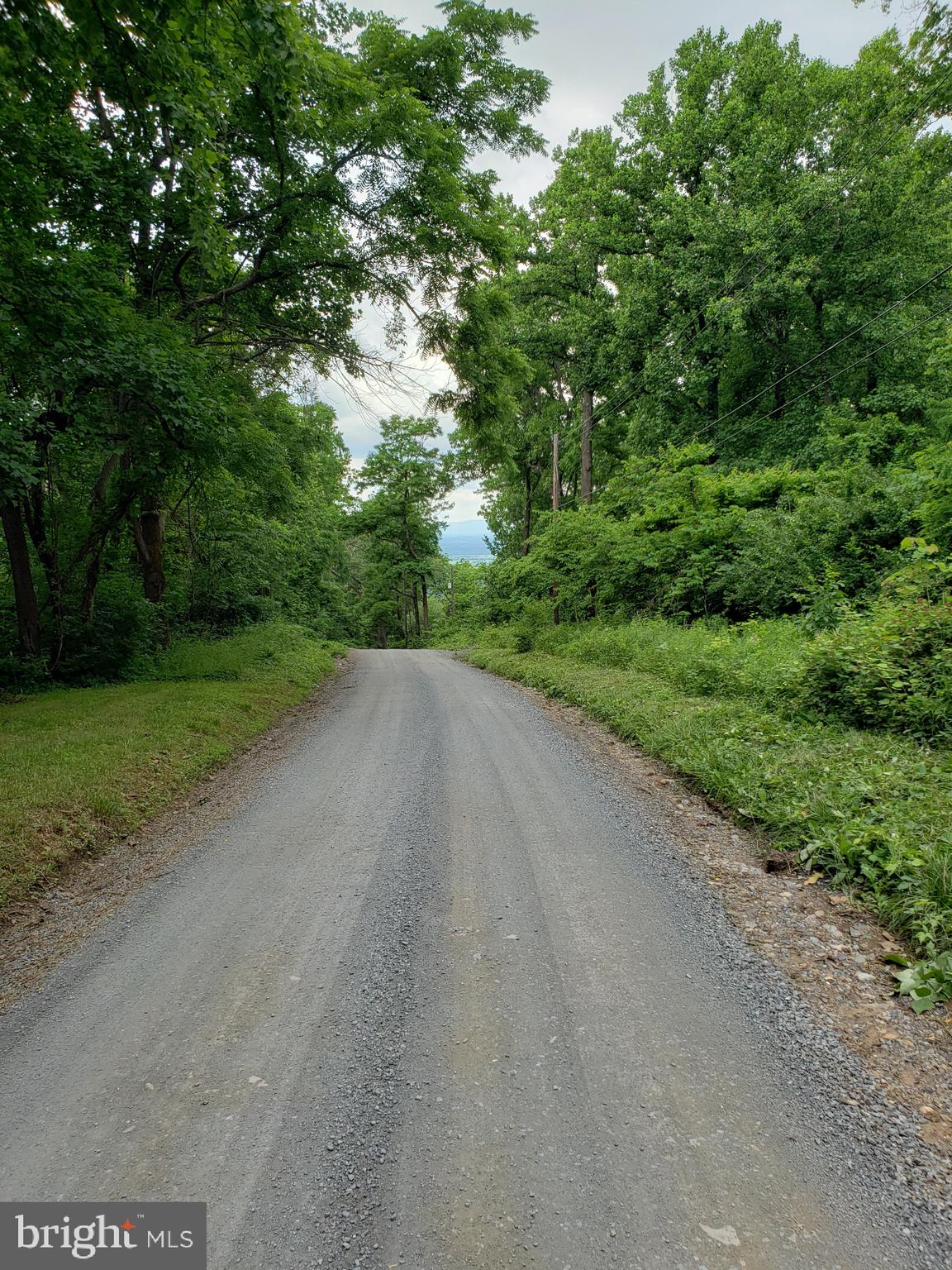488 Reid Drive Front Royal, VA 22630 - Photo 5 of 5