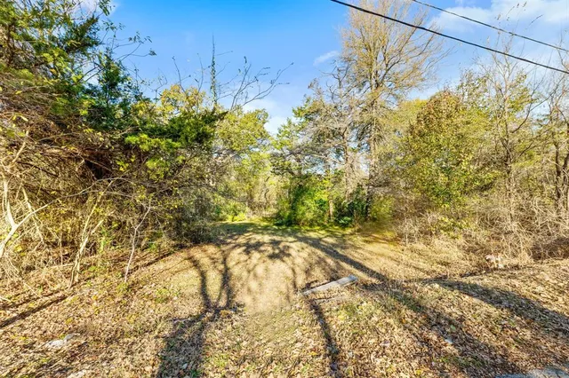 a backyard of a house with lots of plants