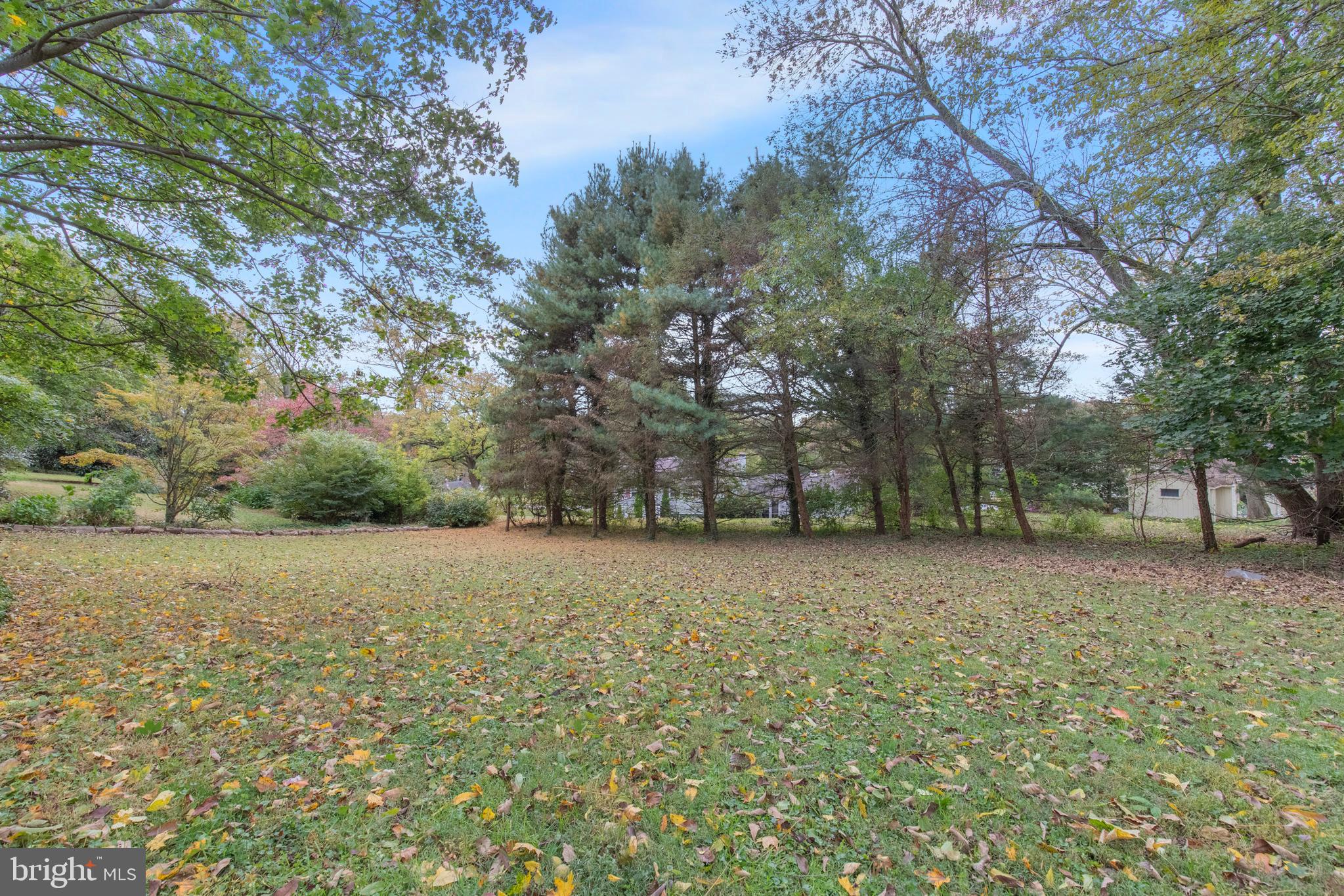 348 South Old Middletown Road Media, PA 19063 - Photo 3 of 42 Beautiful Back Yard