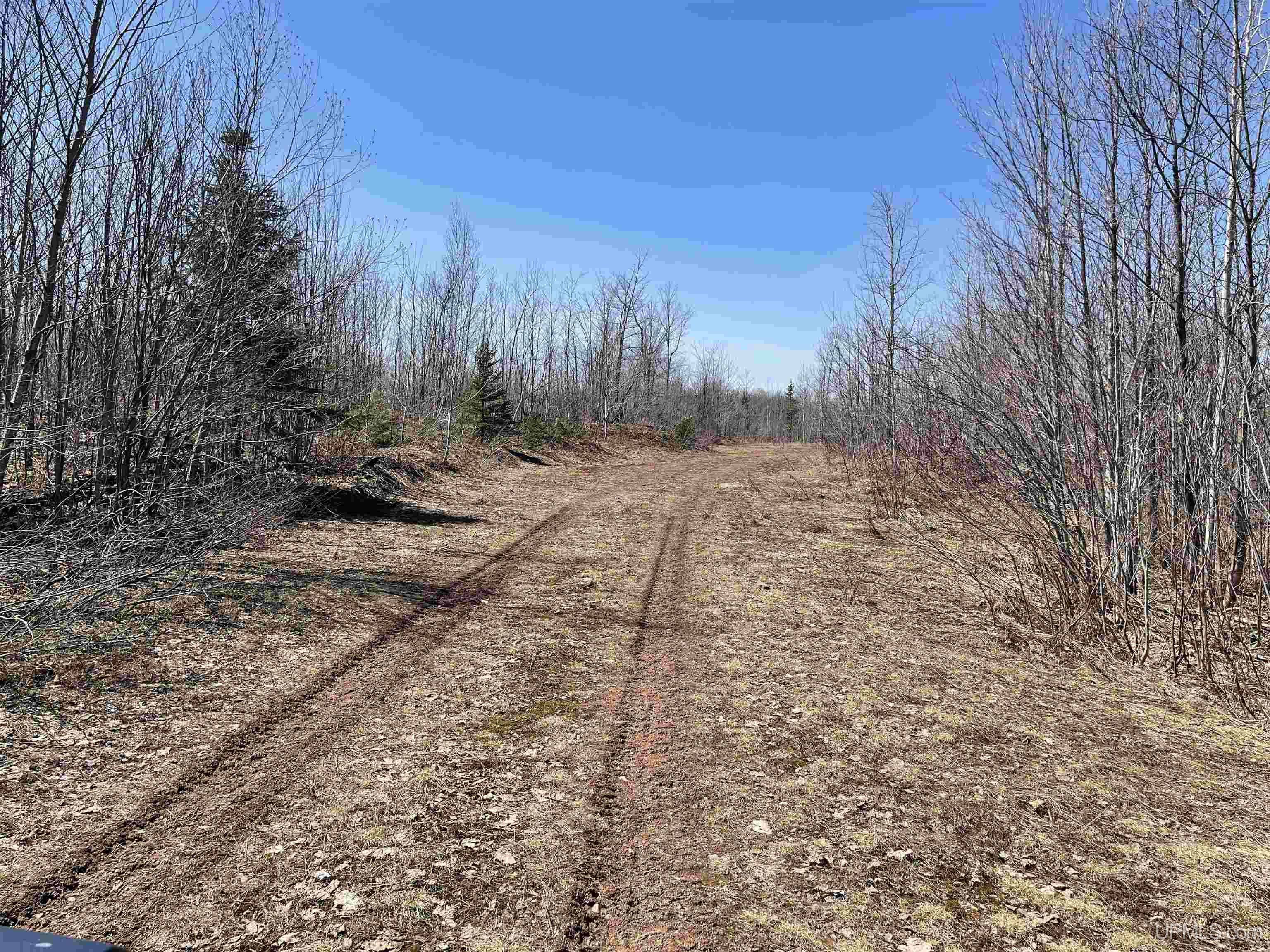 Tbd North County 519 Road Wakefield, MI 49968 - Photo 7 of 18