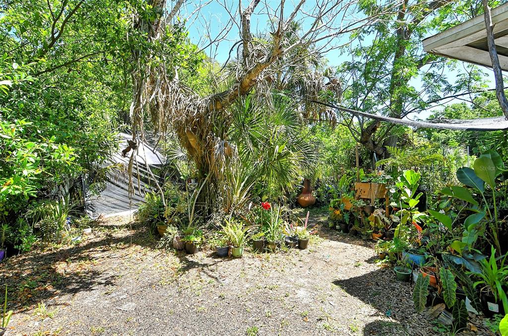 1504 Cocoanut Avenue Sarasota, FL 34236 - Photo 6 of 10 a view of a yard with plants and trees