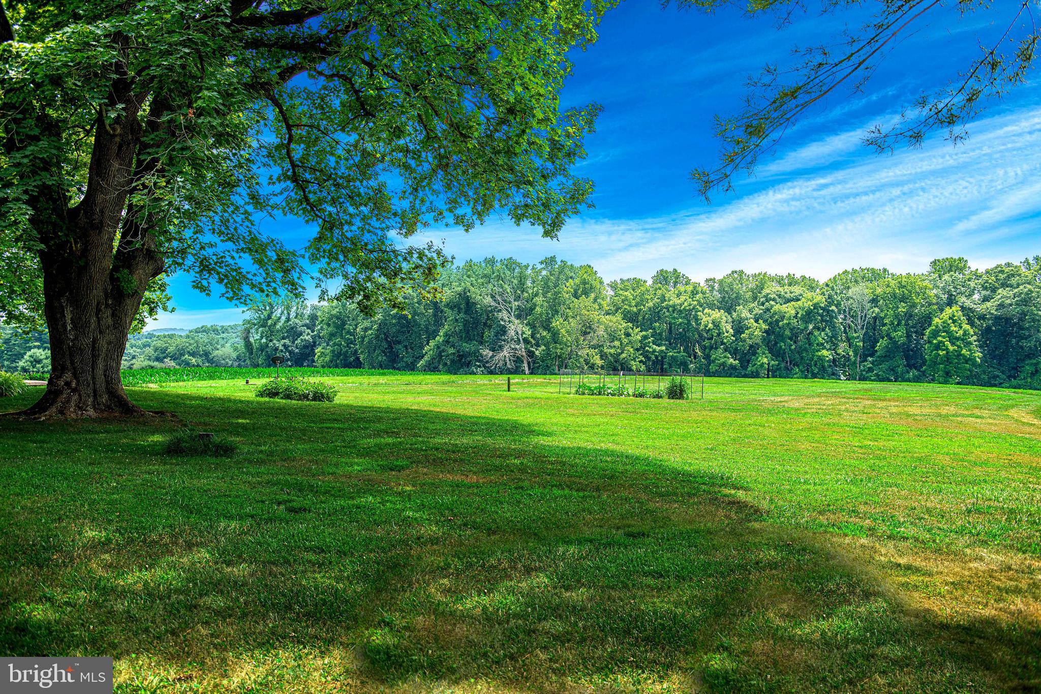 1711 O Connor Road Forest Hill, MD 21050 - Photo 43 of 65