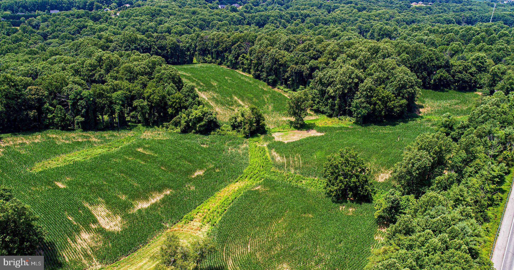 1711 O Connor Road Forest Hill, MD 21050 - Photo 46 of 65