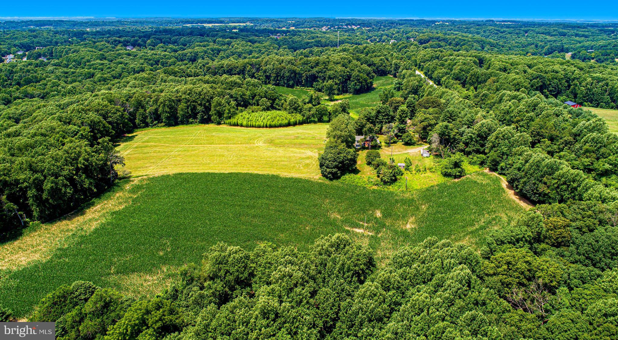 1711 O Connor Road Forest Hill, MD 21050 - Photo 47 of 65