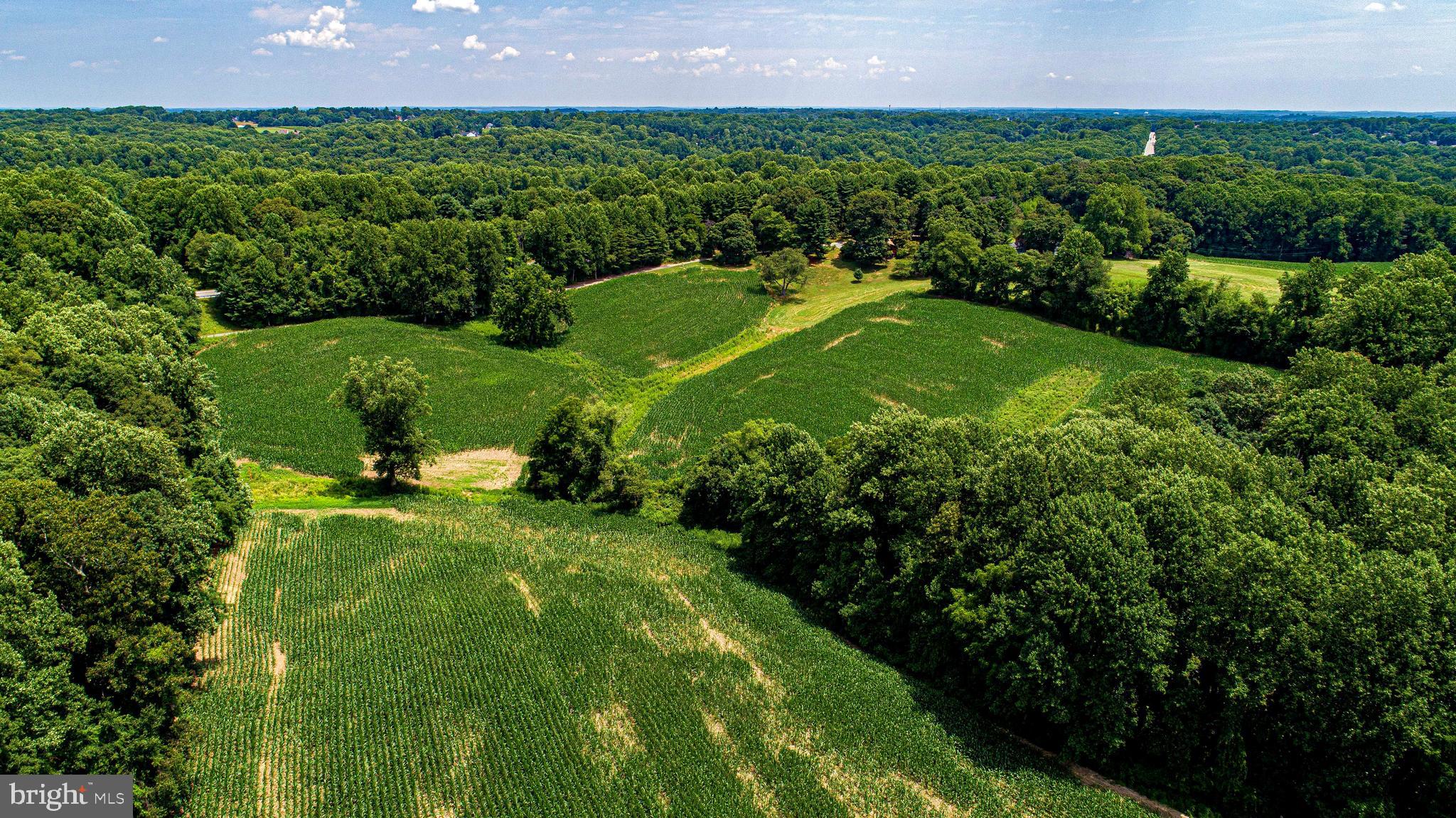 1711 O Connor Road Forest Hill, MD 21050 - Photo 48 of 65