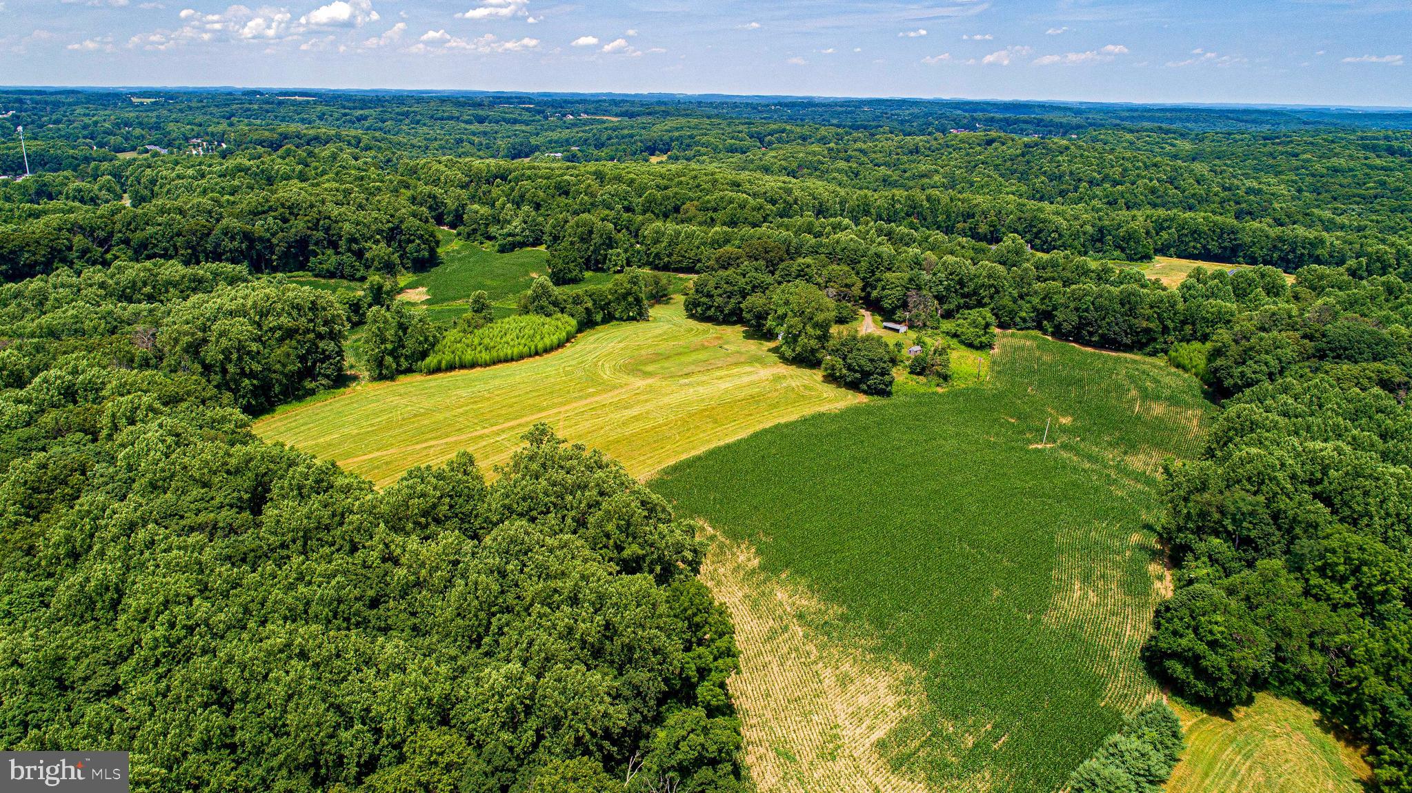 1711 O Connor Road Forest Hill, MD 21050 - Photo 5 of 65