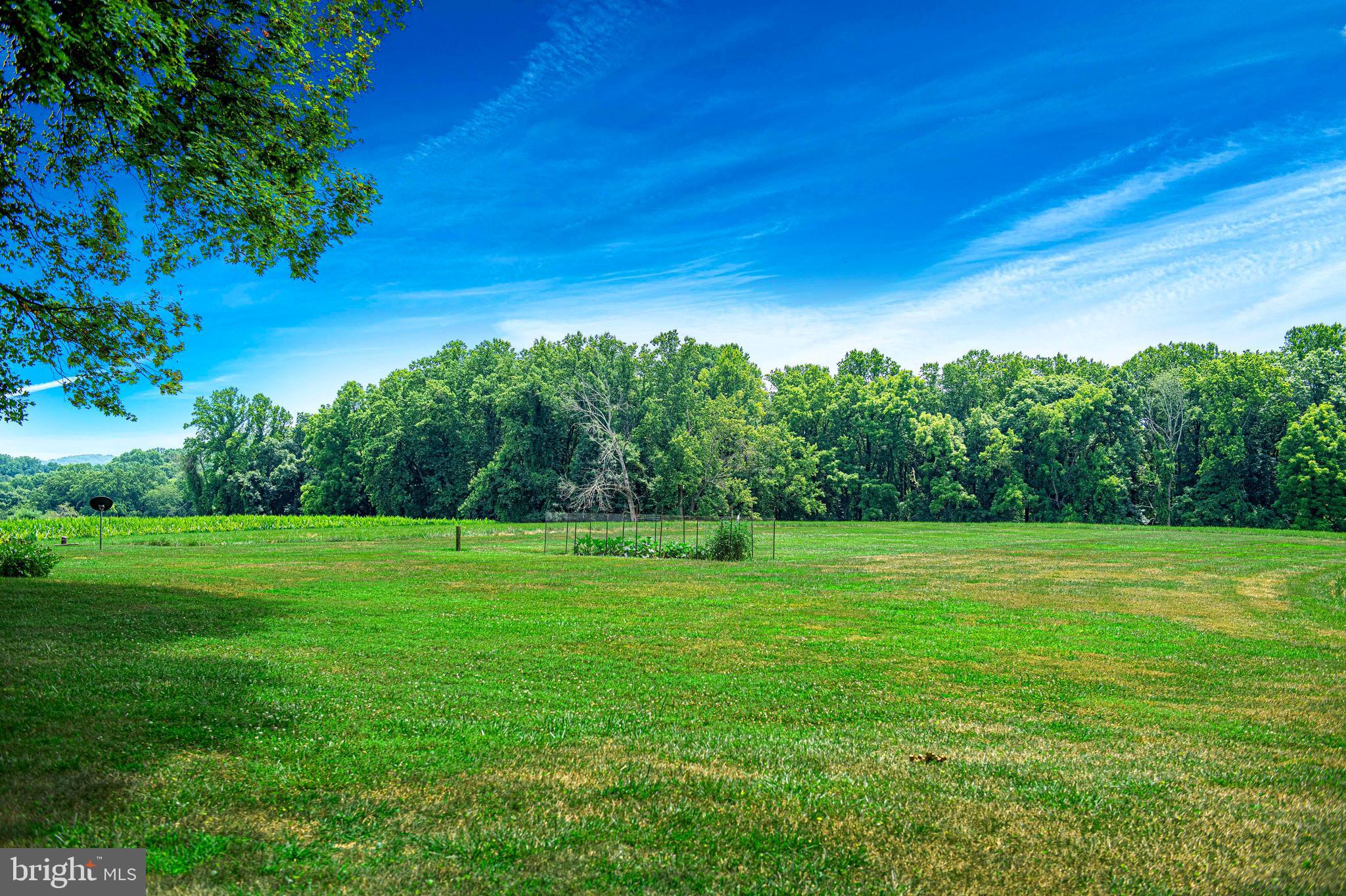 1711 O Connor Road Forest Hill, MD 21050 - Photo 51 of 65