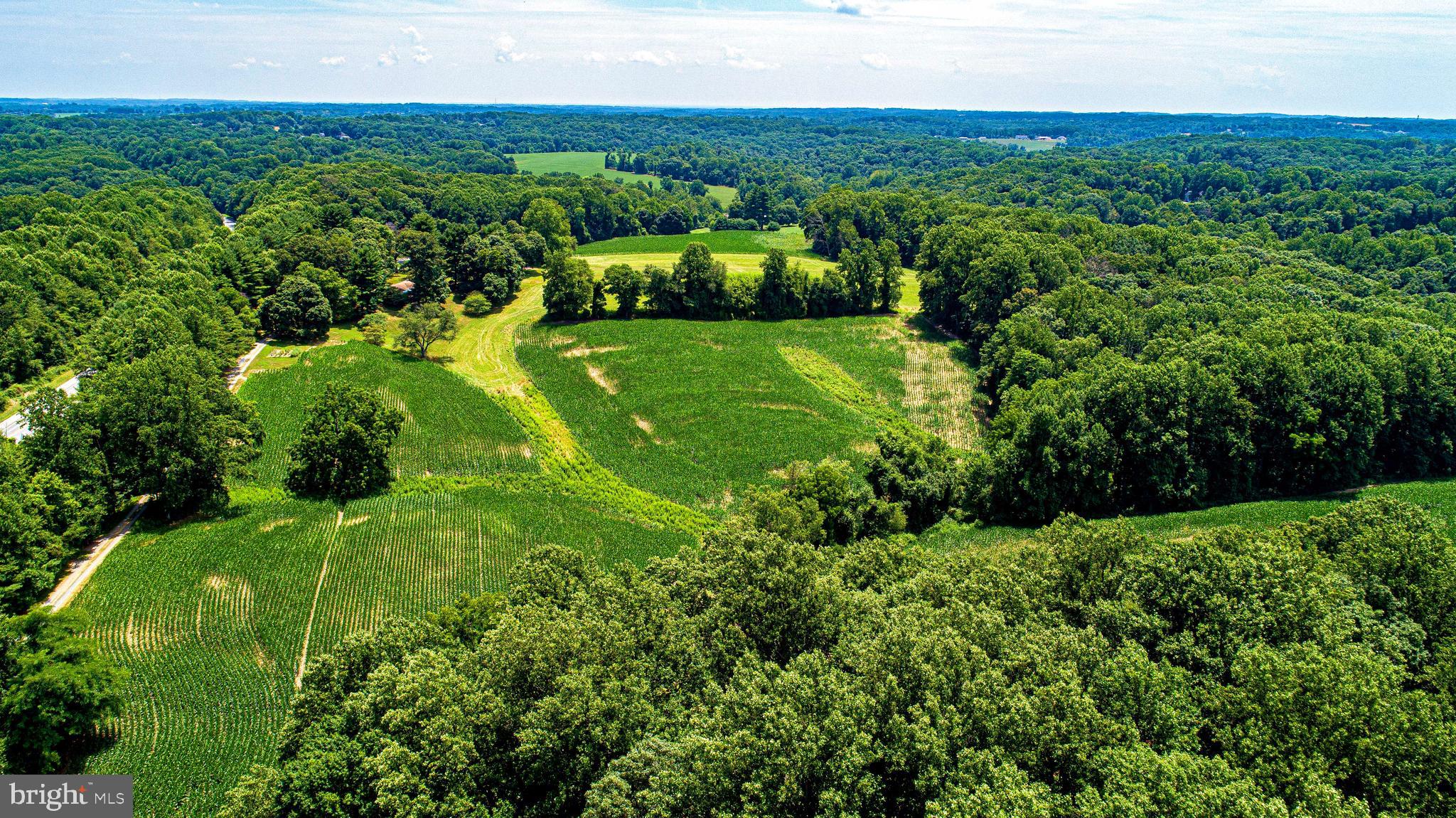 1711 O Connor Road Forest Hill, MD 21050 - Photo 54 of 65