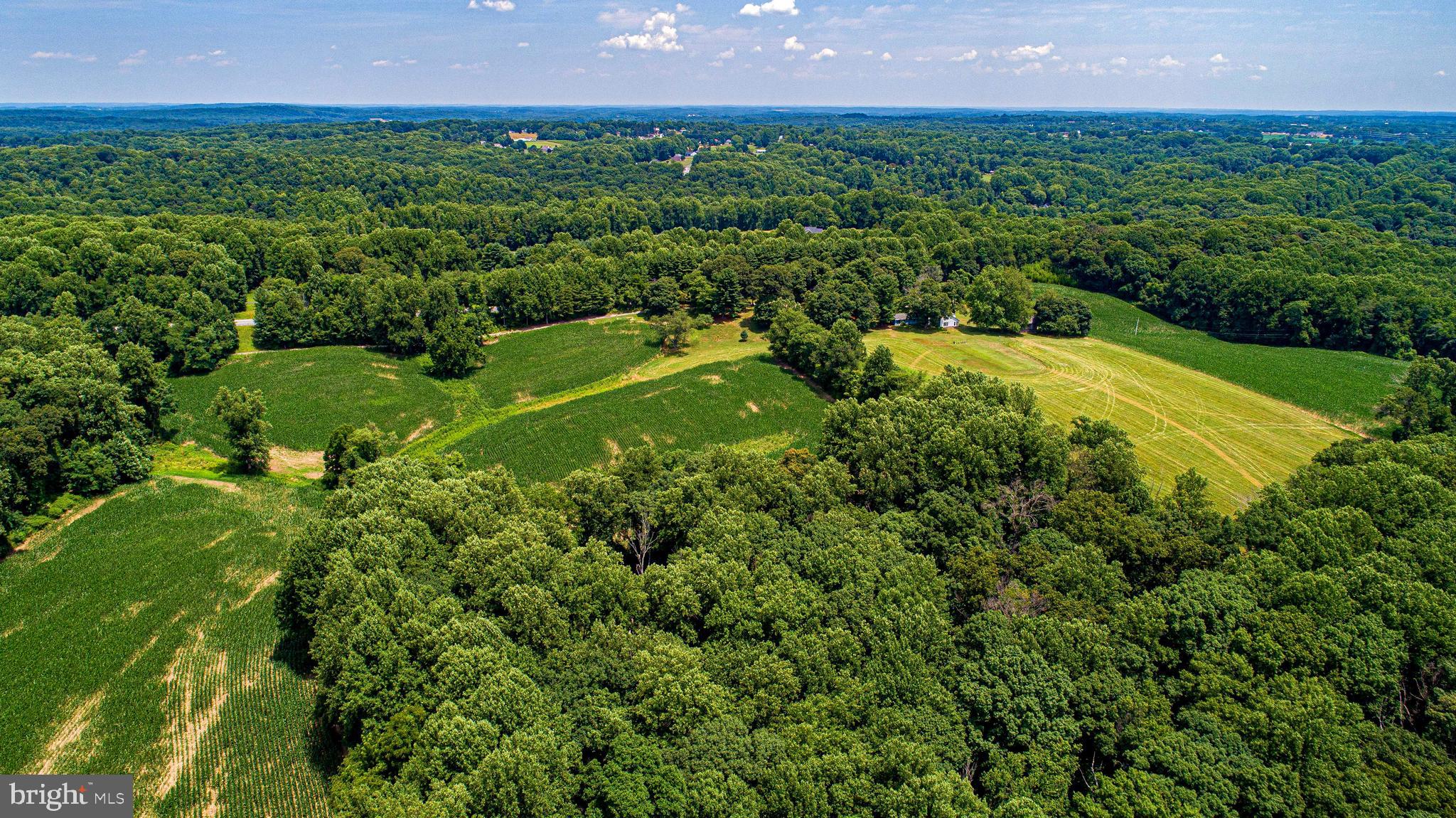 1711 O Connor Road Forest Hill, MD 21050 - Photo 56 of 65