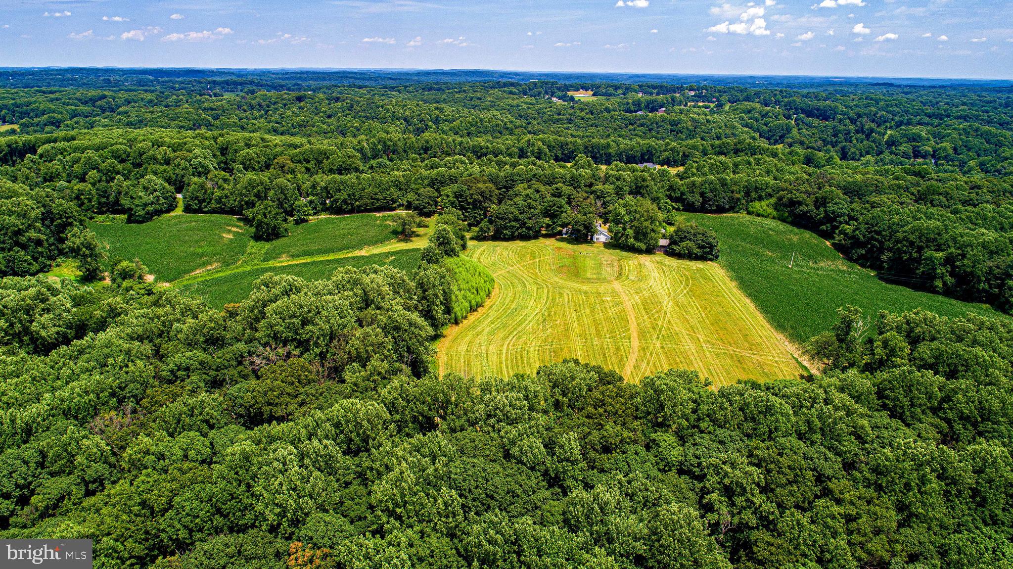 1711 O Connor Road Forest Hill, MD 21050 - Photo 57 of 65