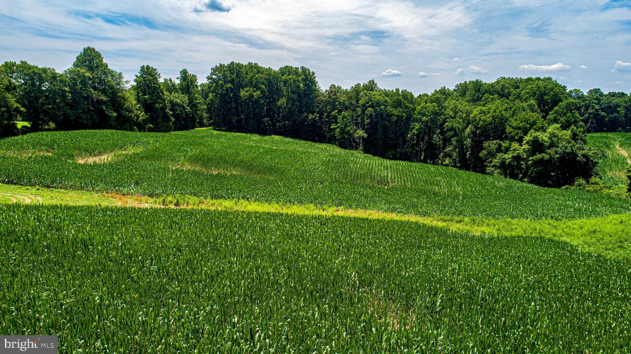 1711 O Connor Road Forest Hill, MD 21050 - Photo 58 of 65