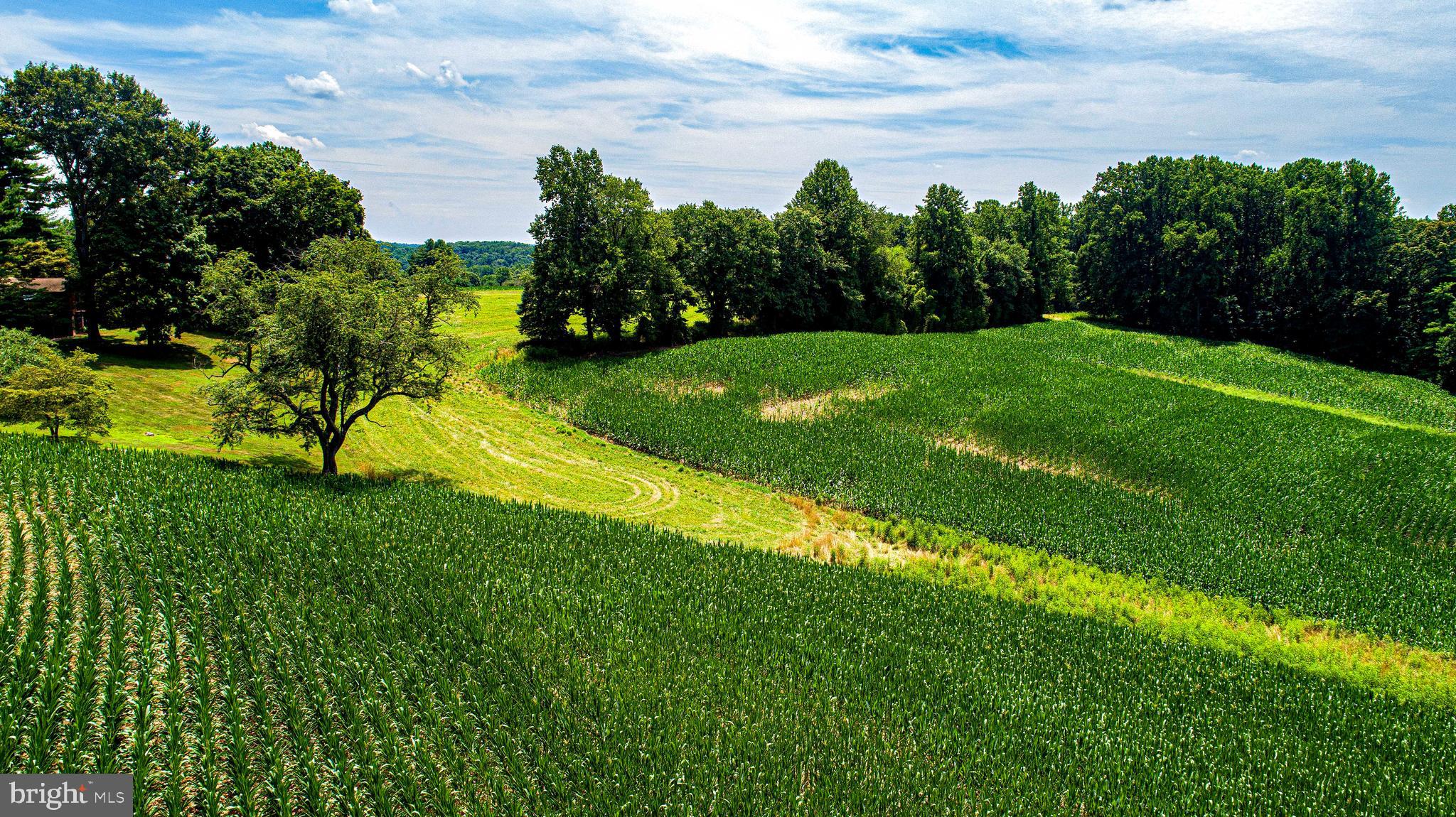 1711 O Connor Road Forest Hill, MD 21050 - Photo 59 of 65