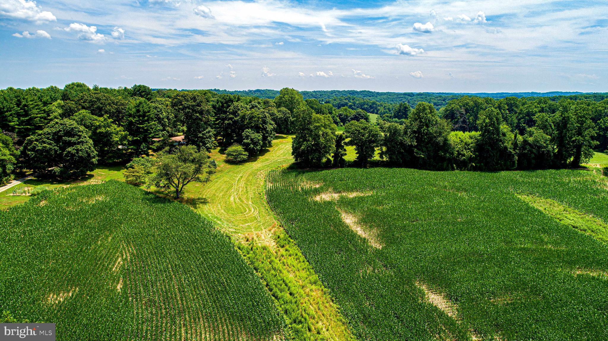 1711 O Connor Road Forest Hill, MD 21050 - Photo 60 of 65