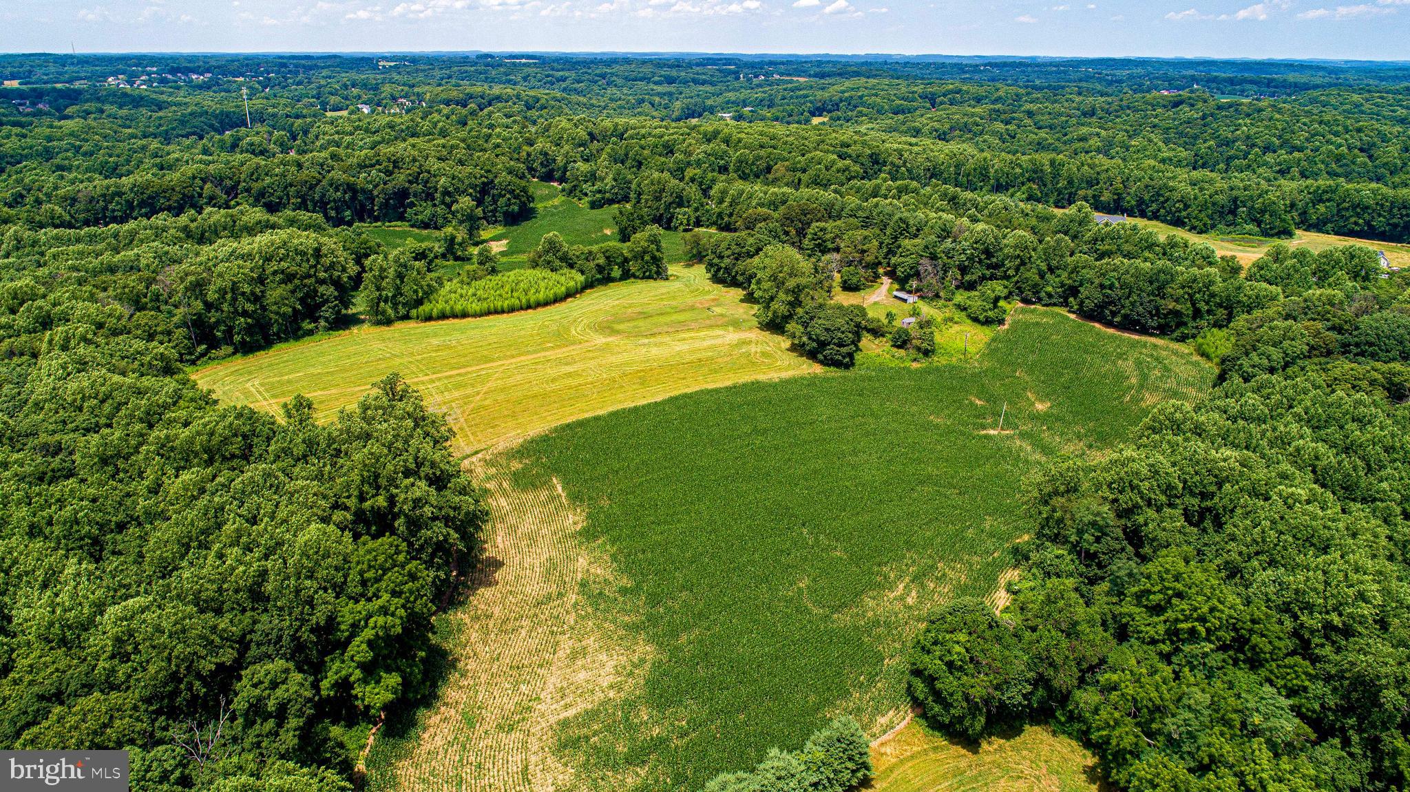 1711 O Connor Road Forest Hill, MD 21050 - Photo 62 of 65