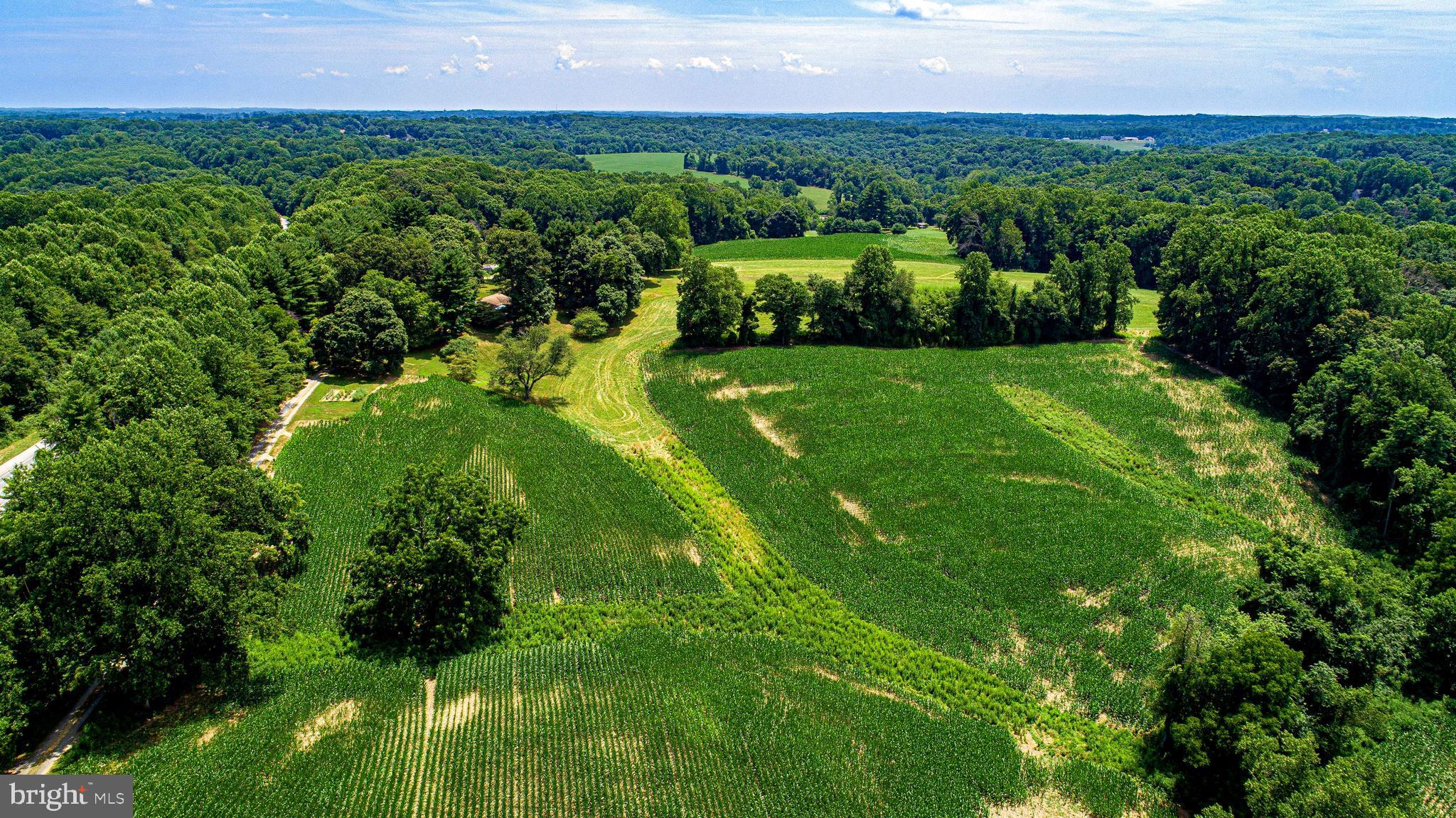 1711 O Connor Road Forest Hill, MD 21050 - Photo 65 of 65