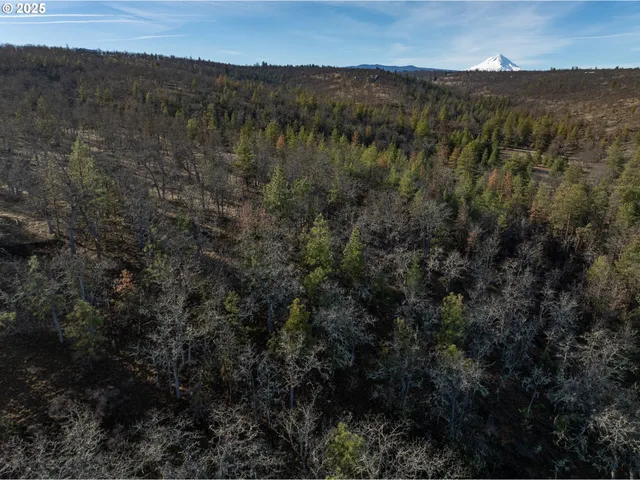 a view of a mountain in the distance