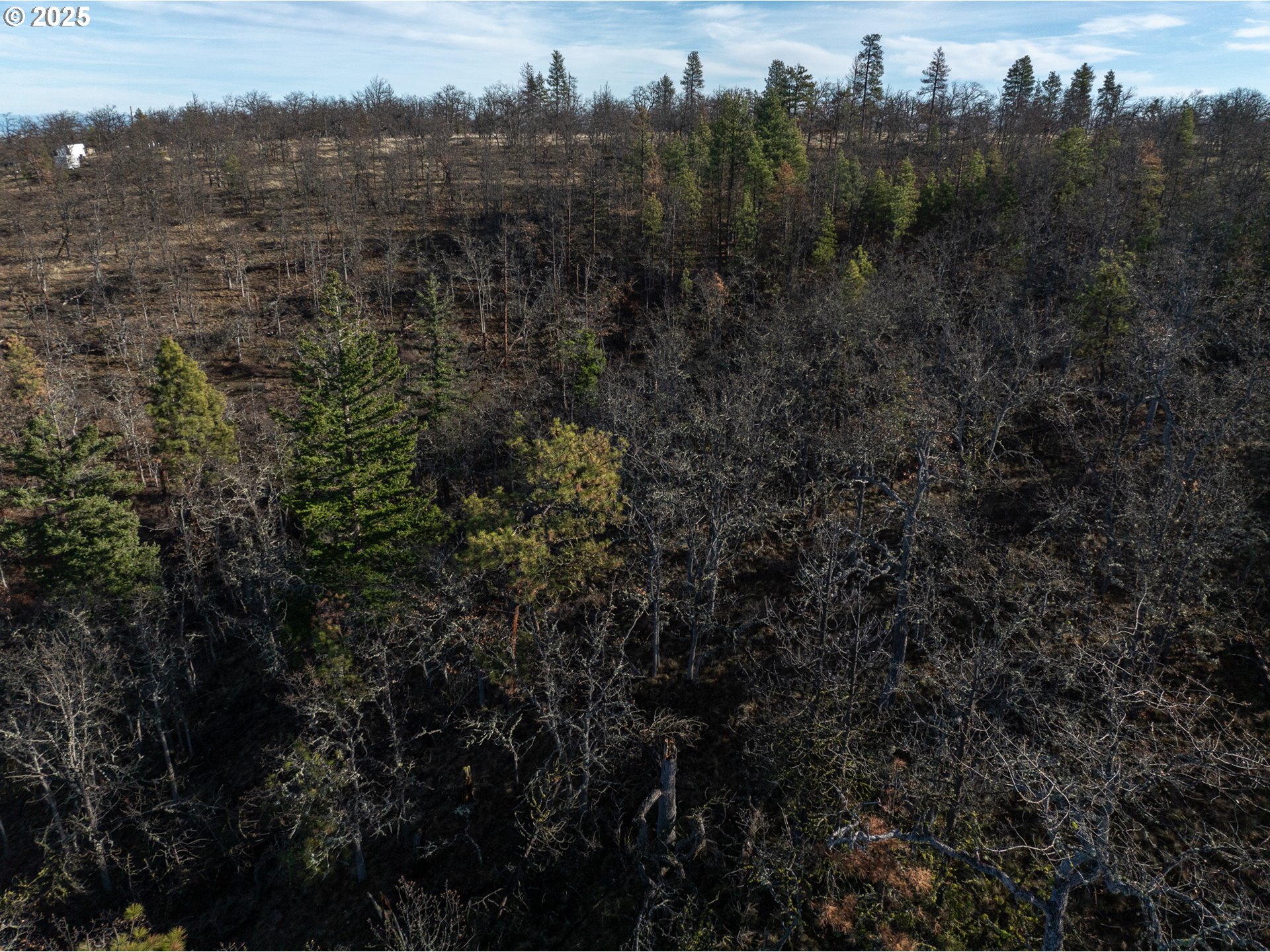 0 South Valley Road Dufur, OR 97021 - Photo 17 of 32 a view of a city and a mountain
