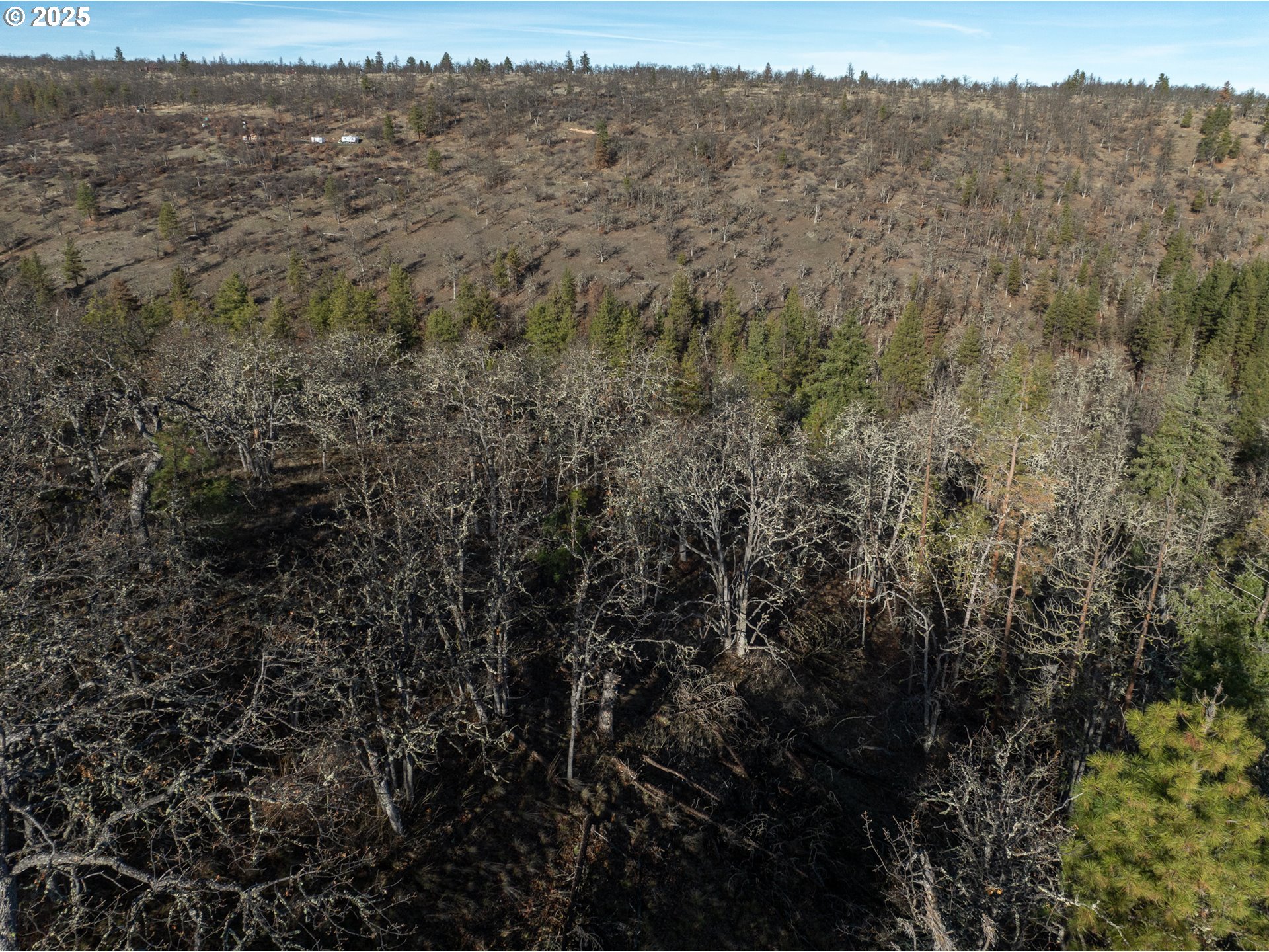 0 South Valley Road Dufur, OR 97021 - Photo 18 of 32 a view of a city with lush green forest