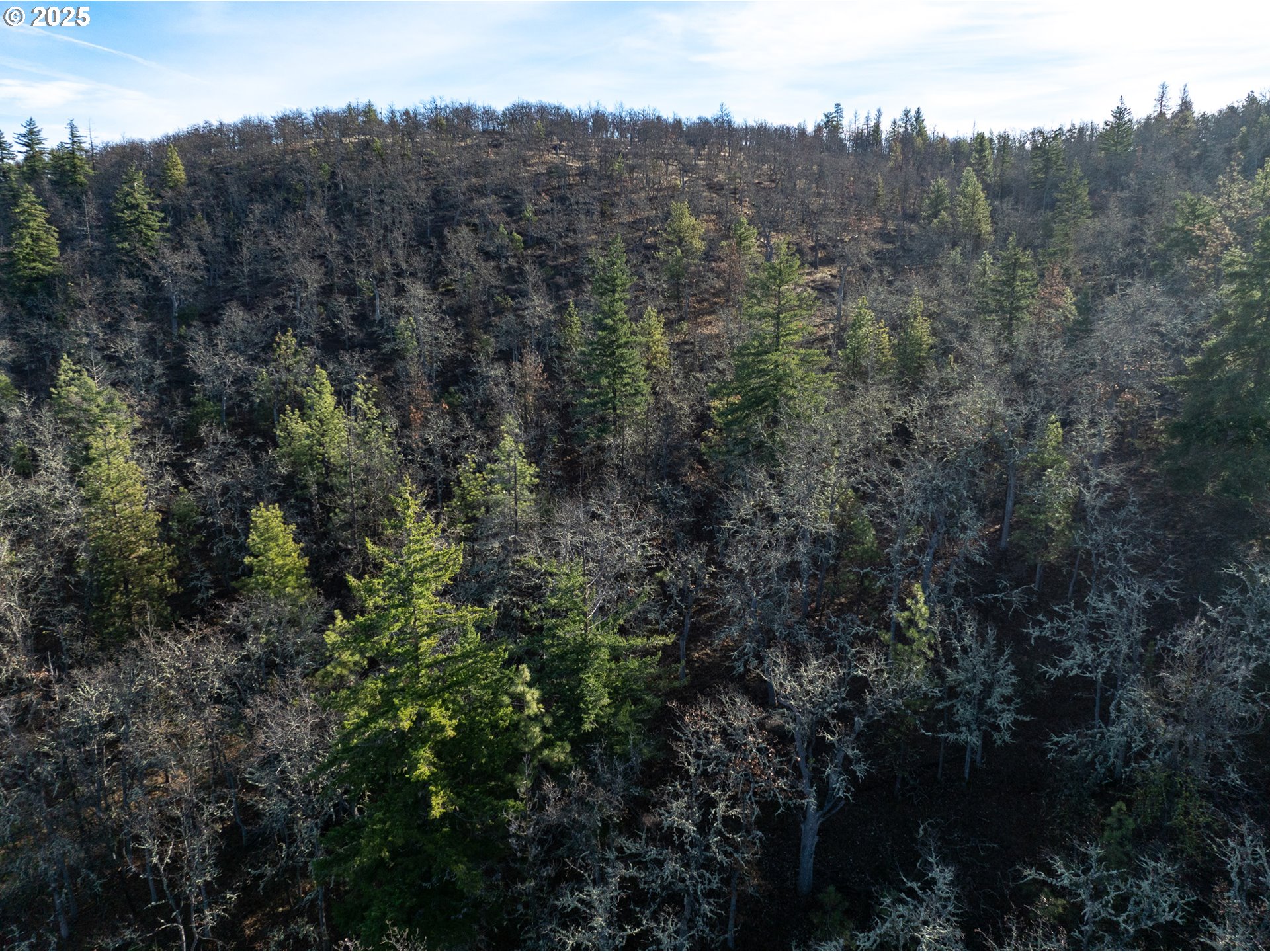 0 South Valley Road Dufur, OR 97021 - Photo 23 of 32 an aerial view of forest