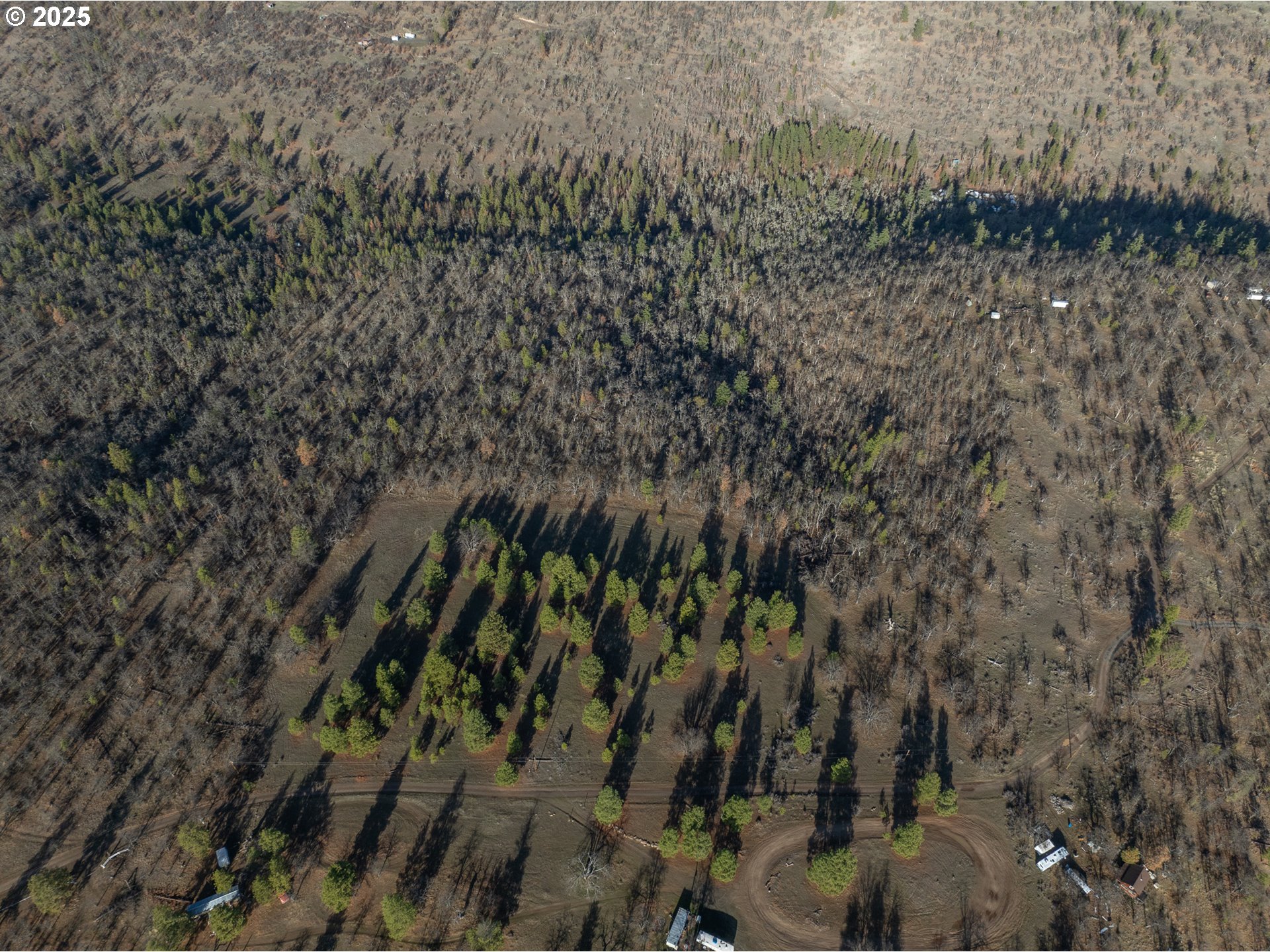 0 South Valley Road Dufur, OR 97021 - Photo 24 of 32 a view of a forest with a tree