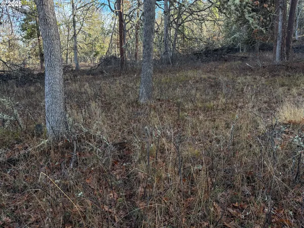 $85,000 | 0 South Valley Road, Dufur, OR 97021